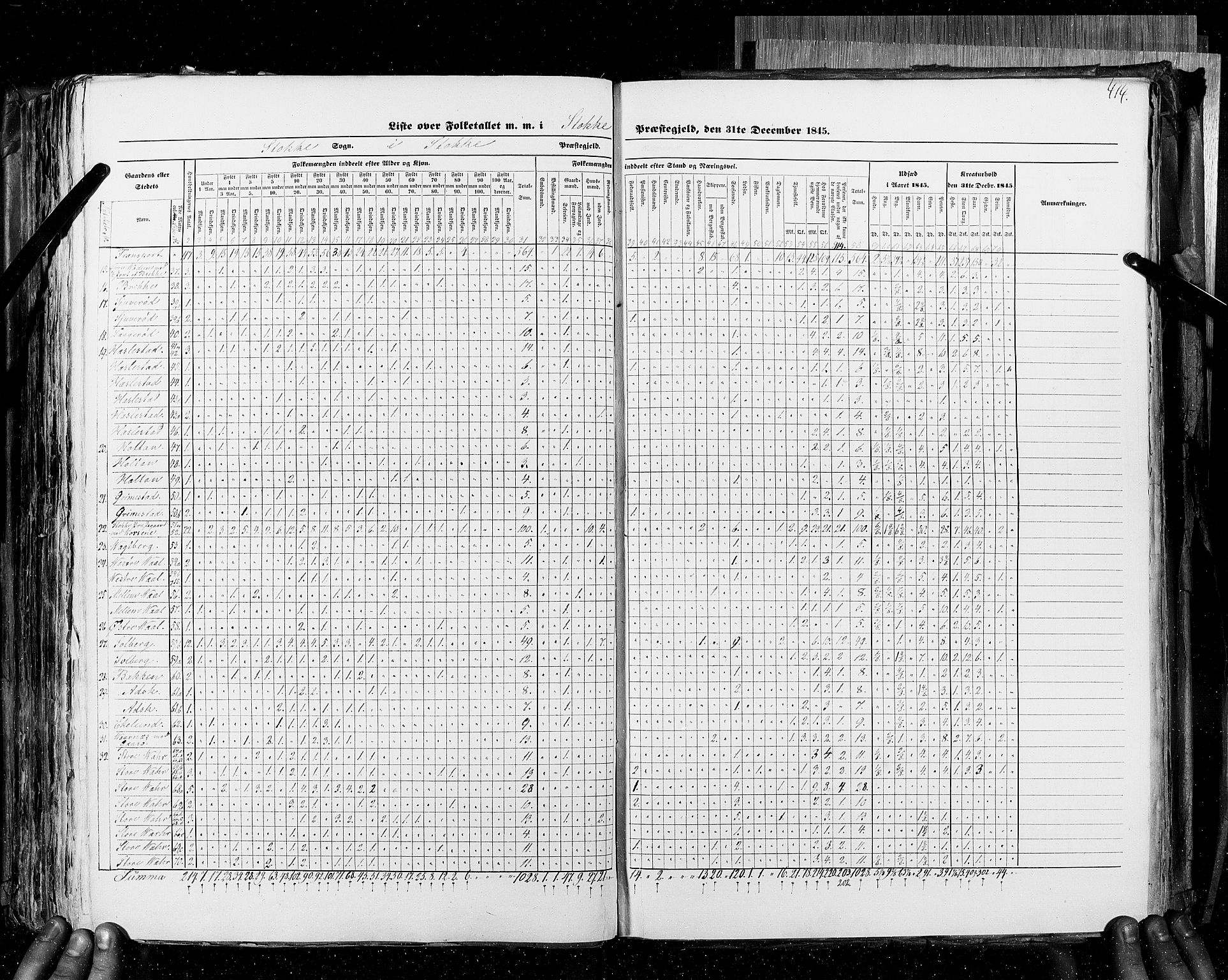 RA, Census 1845, vol. 4: Buskerud amt og Jarlsberg og Larvik amt, 1845, p. 414