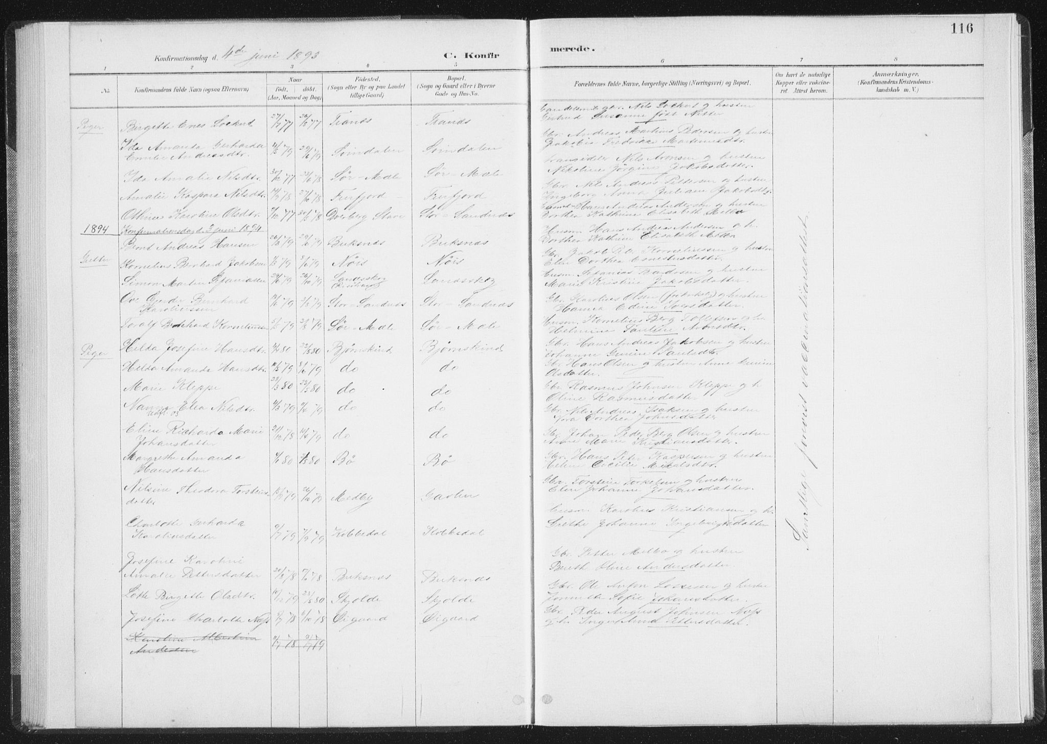 Ministerialprotokoller, klokkerbøker og fødselsregistre - Nordland, AV/SAT-A-1459/898/L1422: Parish register (official) no. 898A02, 1887-1908, p. 116