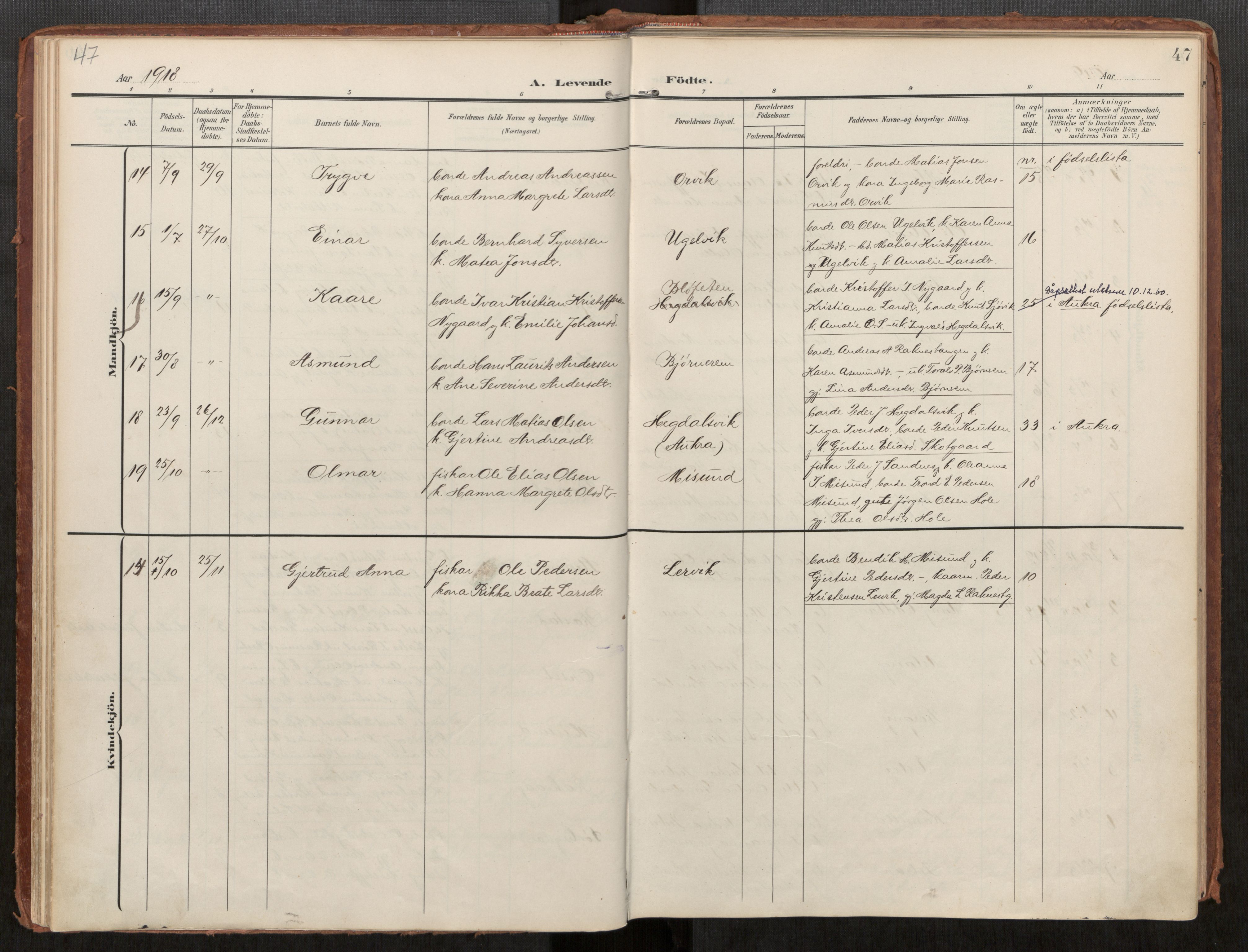 Ministerialprotokoller, klokkerbøker og fødselsregistre - Møre og Romsdal, AV/SAT-A-1454/563/L0740: Parish register (official) no. 563A02, 1903-1923, p. 47