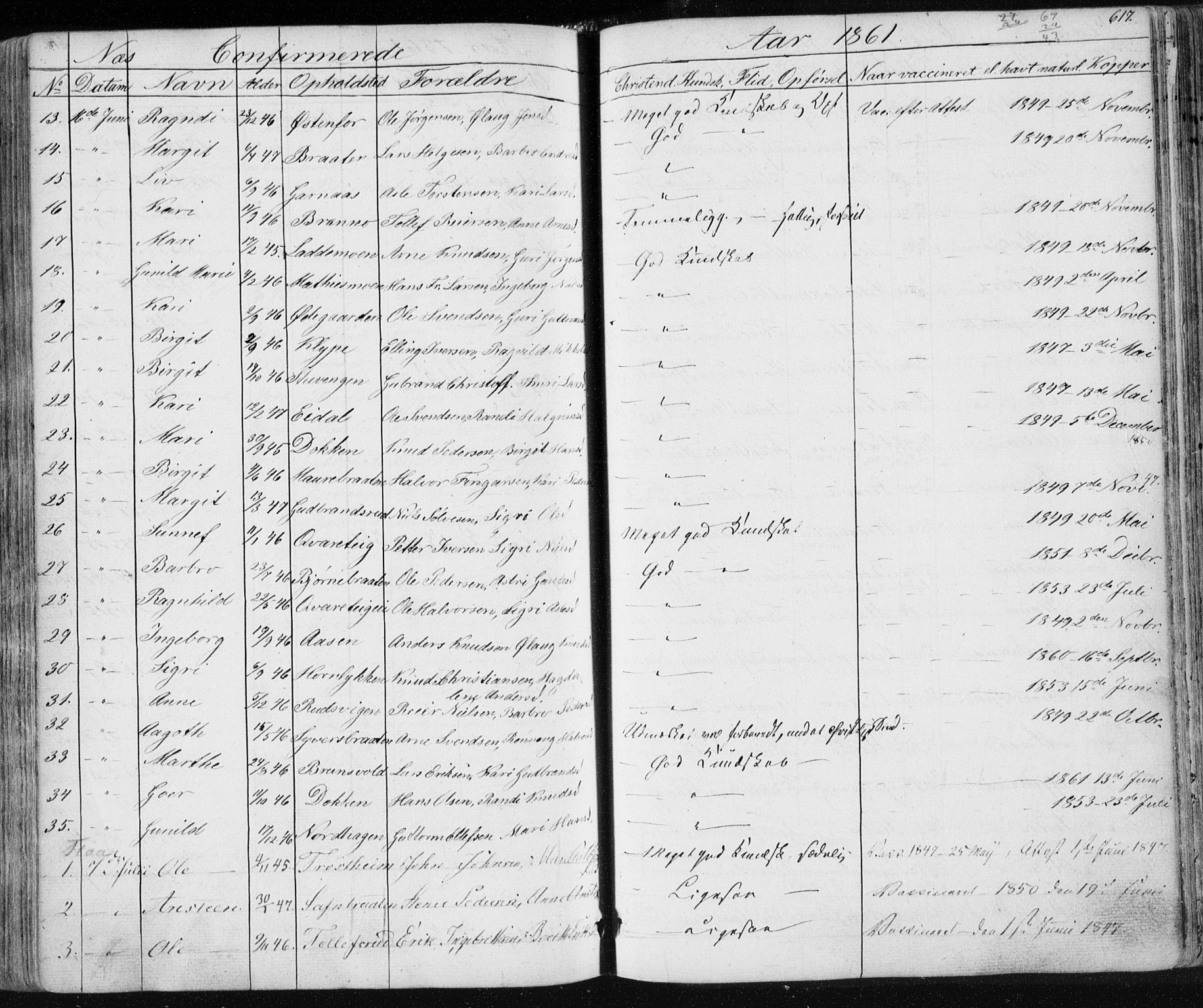 Nes kirkebøker, AV/SAKO-A-236/F/Fa/L0009: Parish register (official) no. 9, 1834-1863, p. 617