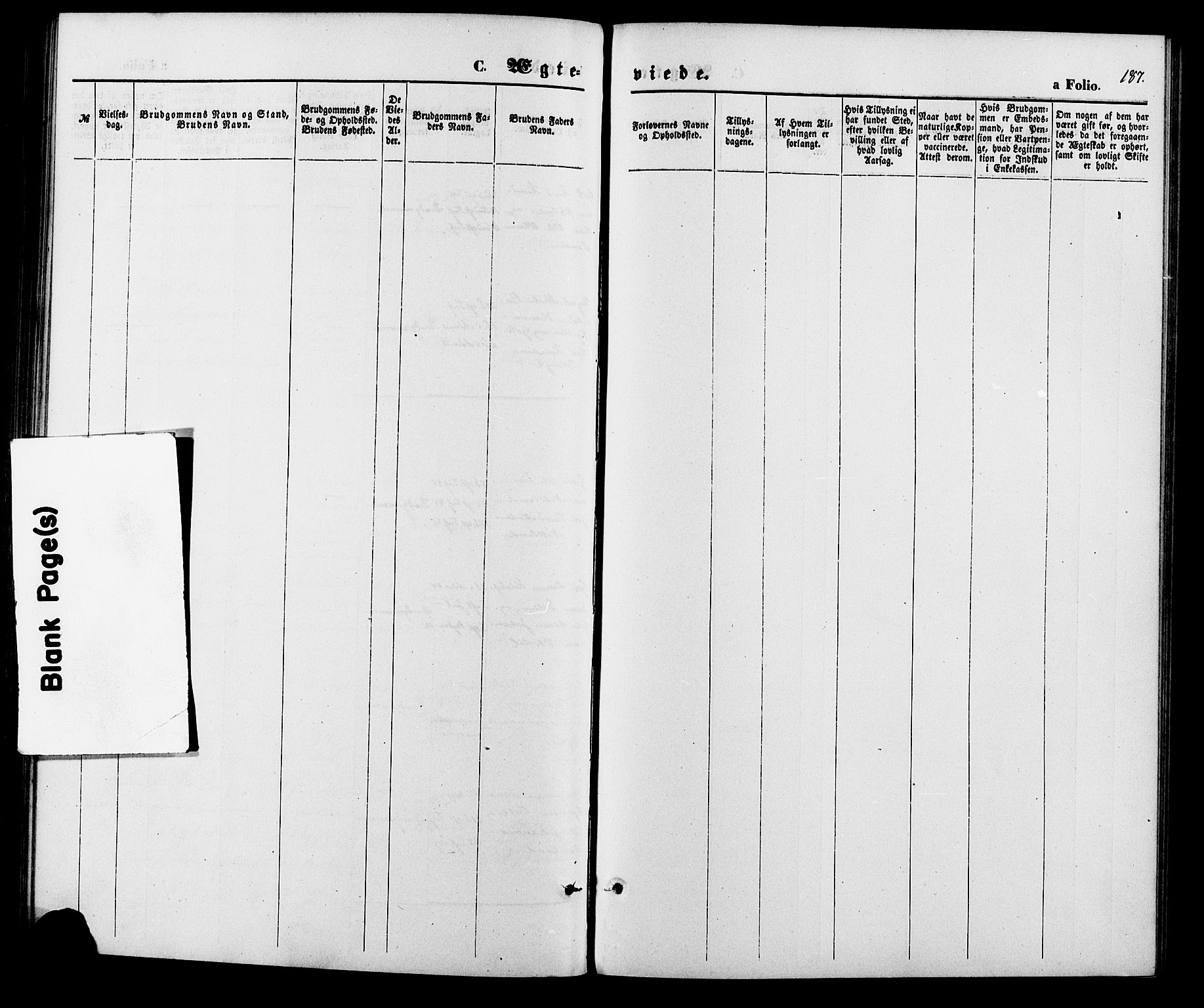 Hægebostad sokneprestkontor, AV/SAK-1111-0024/F/Fa/Fab/L0003: Parish register (official) no. A 3, 1872-1886, p. 187