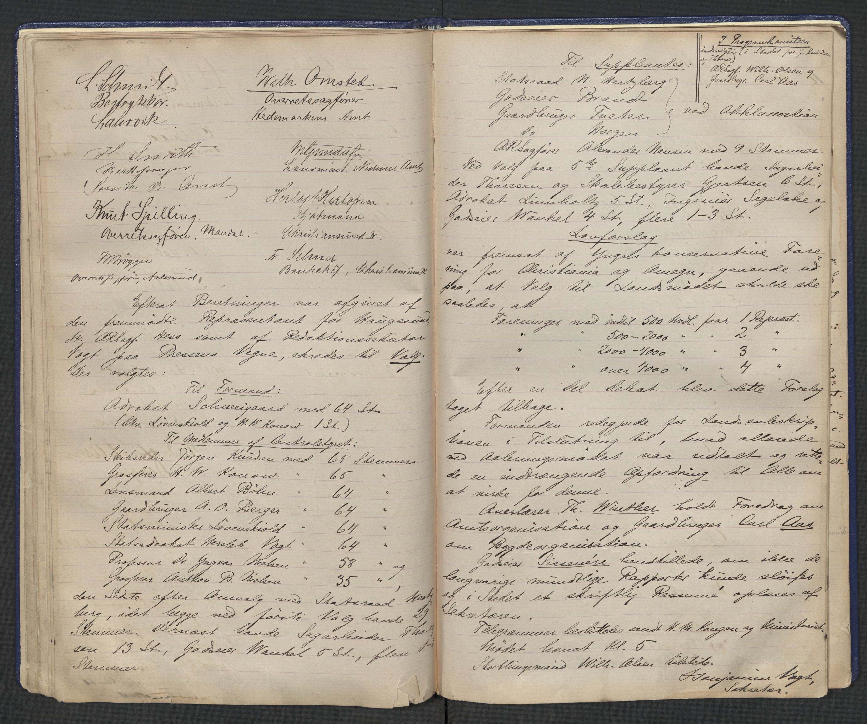 Høyres Hovedorganisasjon, AV/RA-PA-0583/1/A/Aa/L0001: De konservative foreningers centralstyre. Referatprotokoll, 1884-1897, p. 31