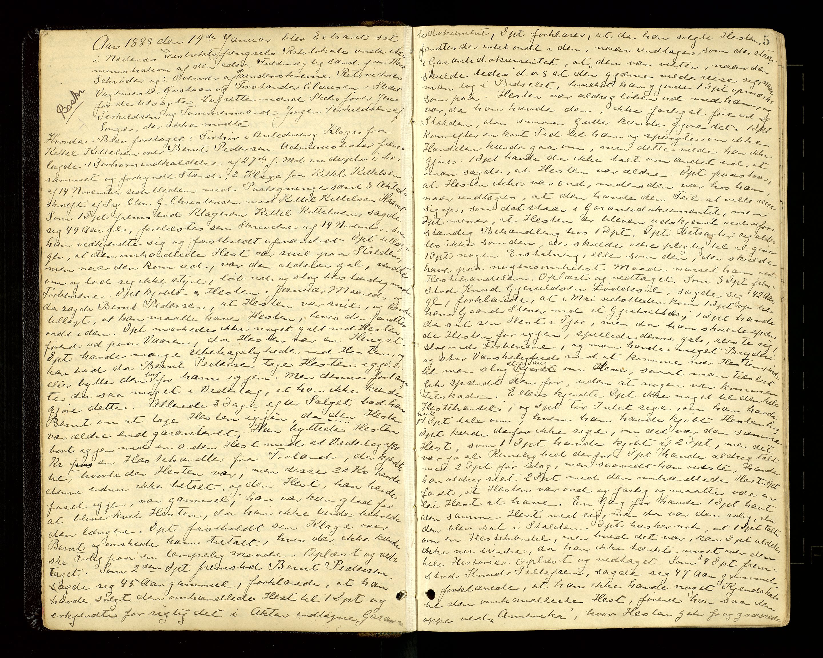 Nedenes sorenskriveri, AV/SAK-1221-0006/F/Fb/L0007: Ekstrarettsprotokoll nr 7, 1888-1899, p. 5