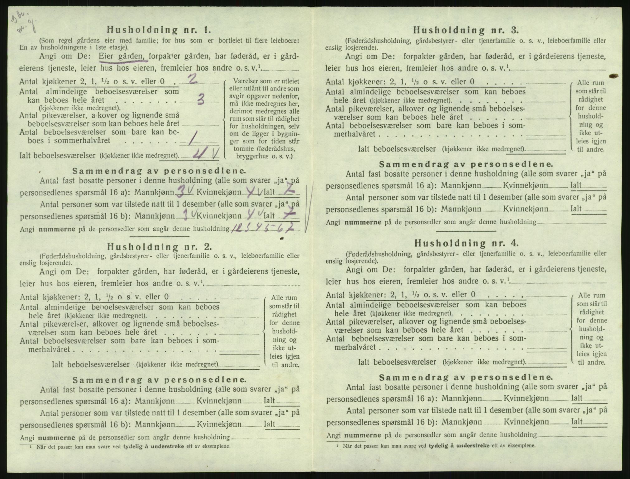 SAK, 1920 census for Hornnes, 1920, p. 76