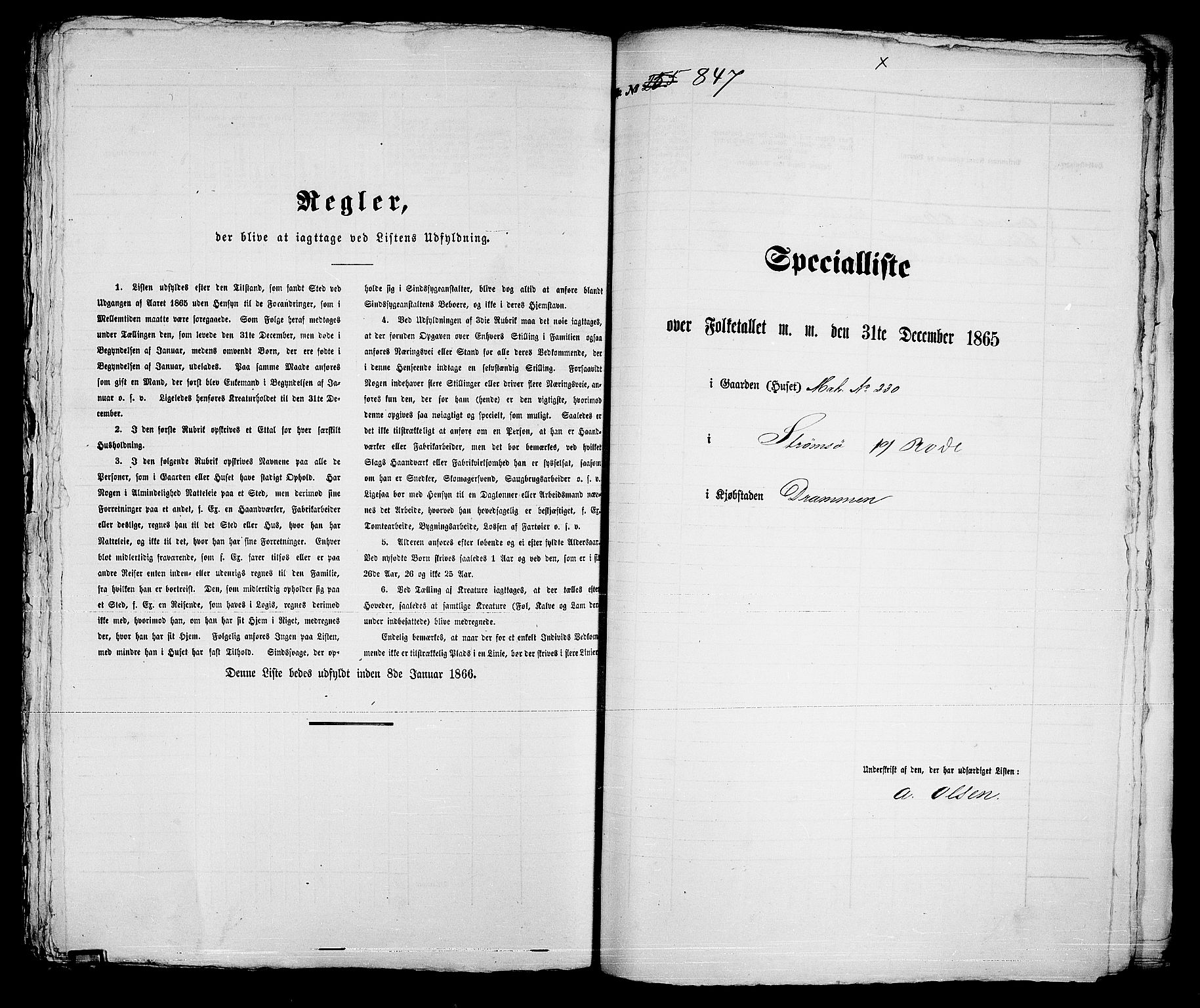 RA, 1865 census for Strømsø in Drammen, 1865, p. 509