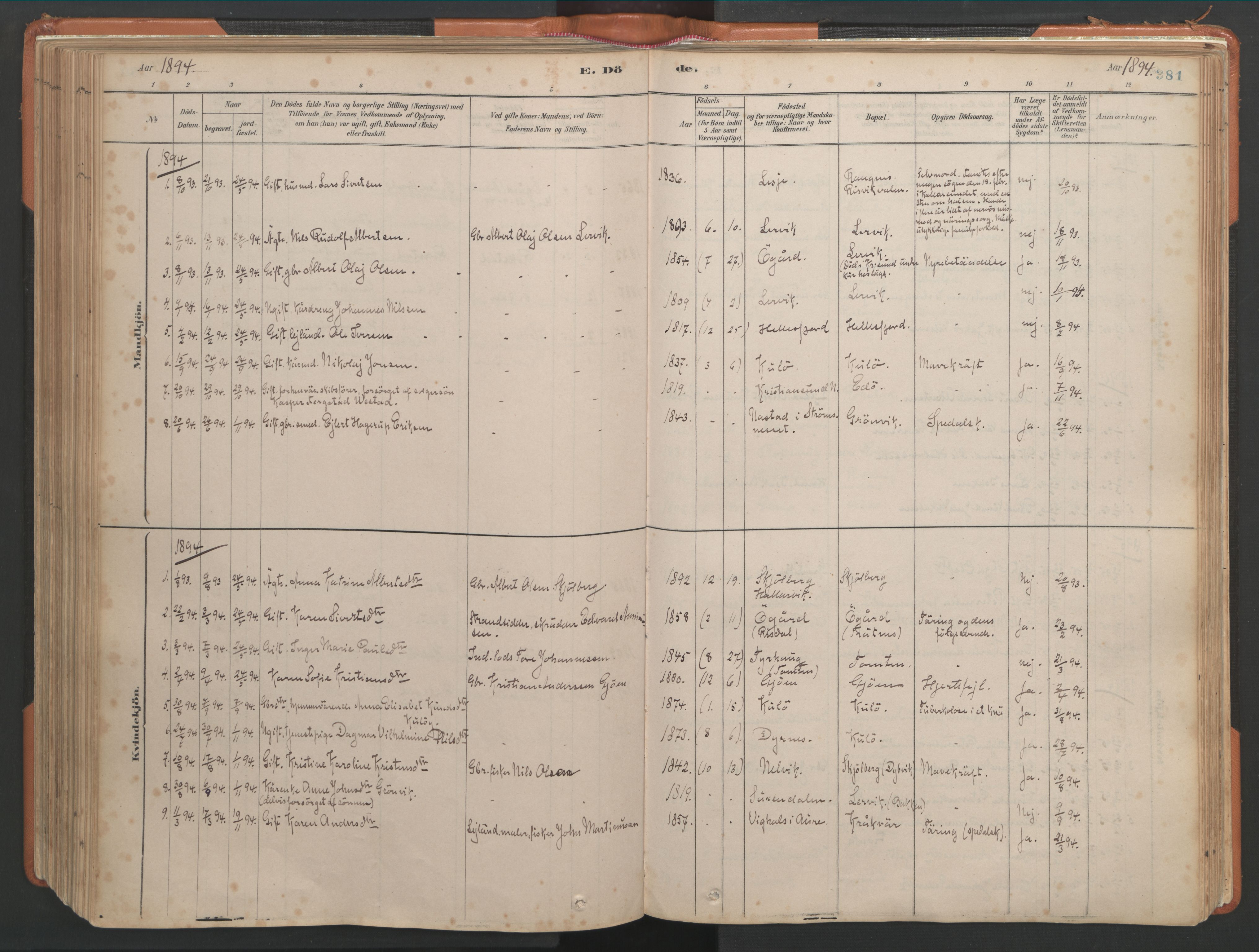 Ministerialprotokoller, klokkerbøker og fødselsregistre - Møre og Romsdal, AV/SAT-A-1454/581/L0941: Parish register (official) no. 581A09, 1880-1919, p. 381