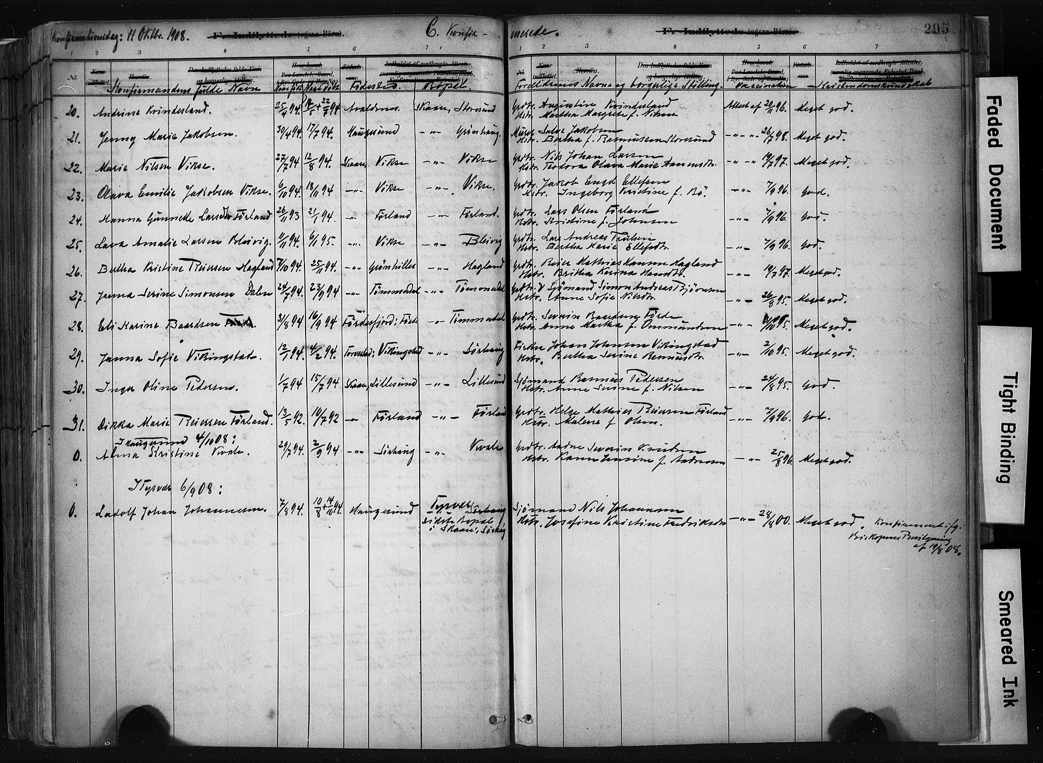 Haugesund sokneprestkontor, AV/SAST-A -101863/H/Ha/Haa/L0004: Parish register (official) no. A 4, 1886-1908, p. 295