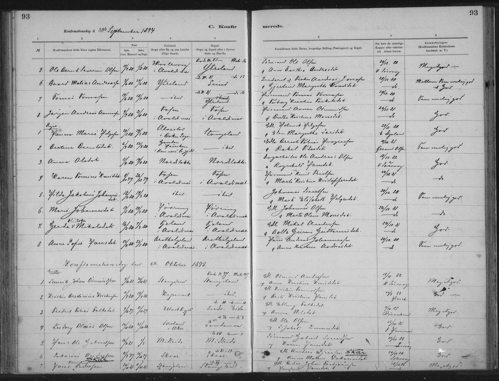 Kopervik sokneprestkontor, SAST/A-101850/H/Ha/Haa/L0002: Parish register (official) no. A 2, 1880-1912, p. 93