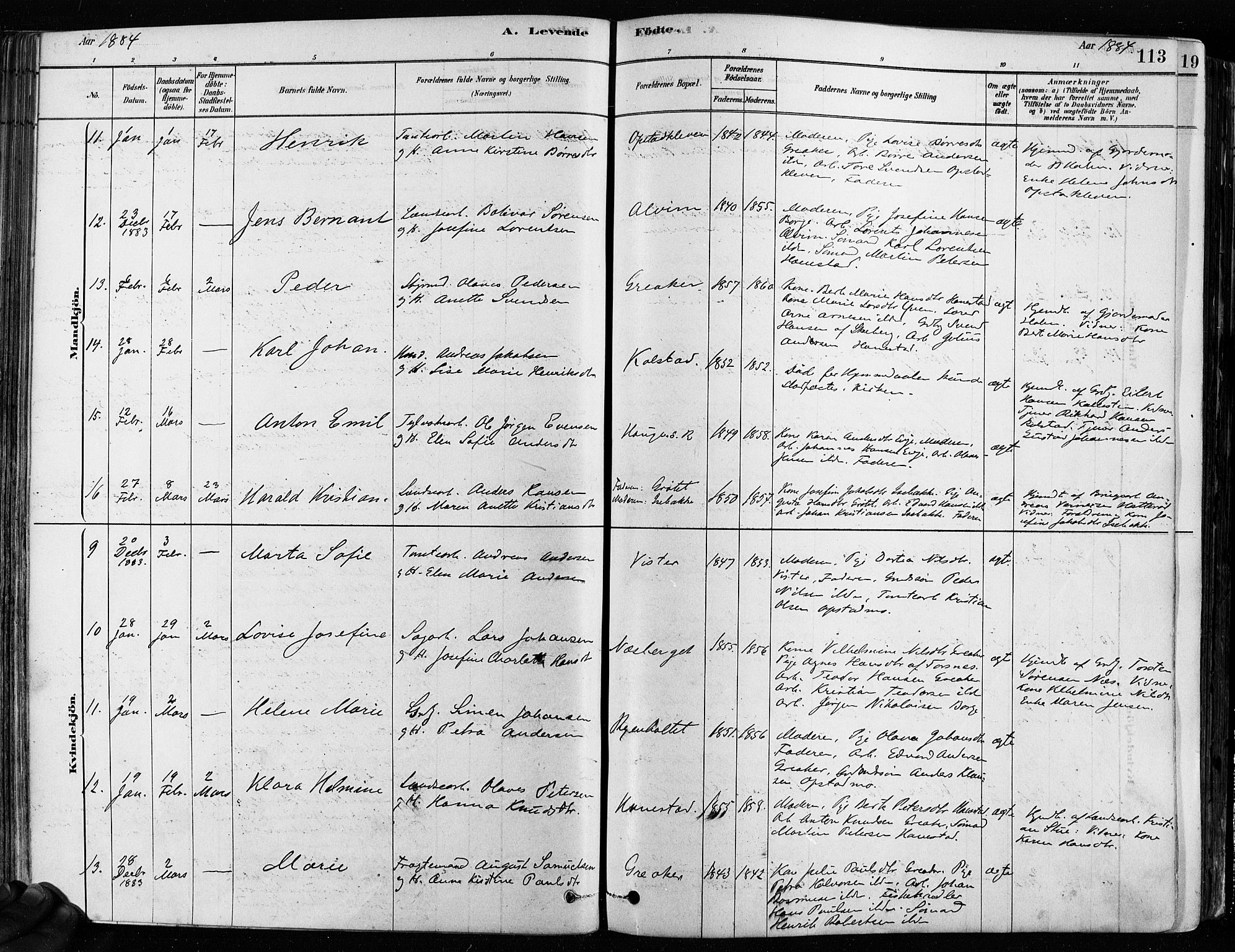 Tune prestekontor Kirkebøker, SAO/A-2007/F/Fa/L0017: Parish register (official) no. 17, 1878-1887, p. 113