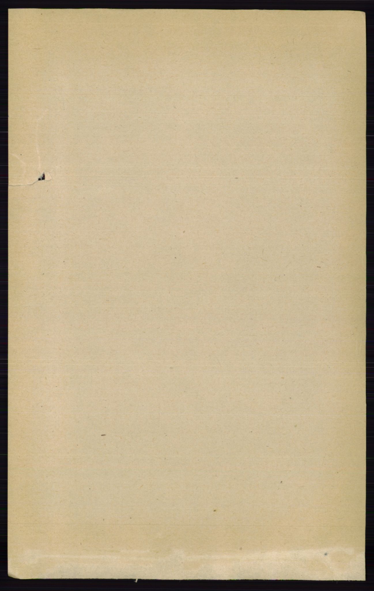 RA, 1891 census for 0113 Borge, 1891, p. 824