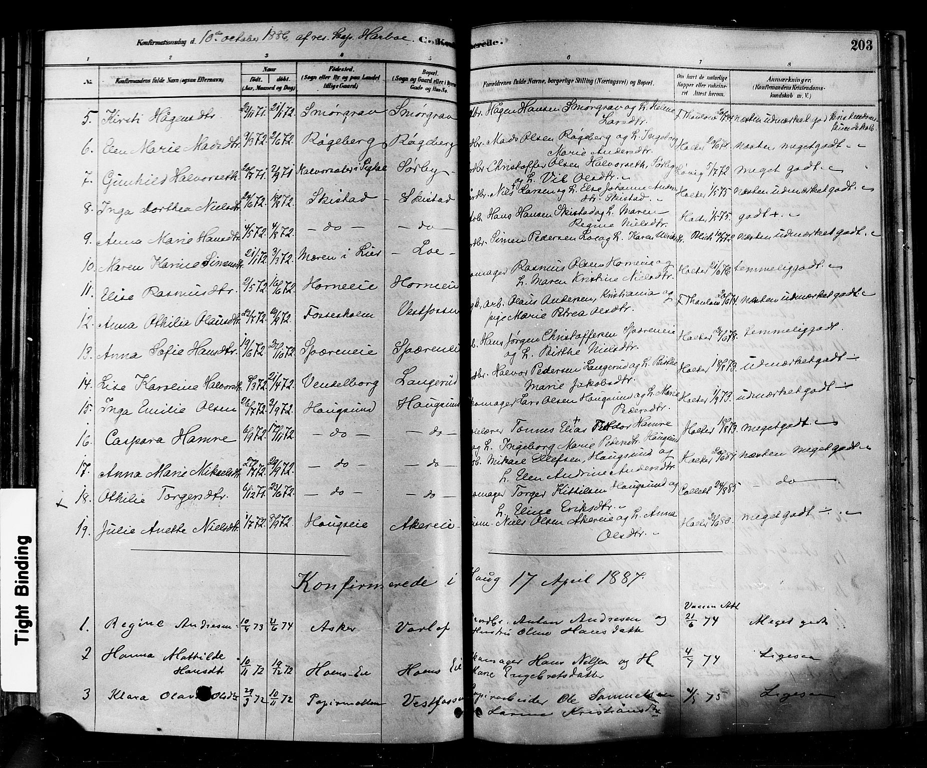 Eiker kirkebøker, SAKO/A-4/F/Fb/L0001: Parish register (official) no. II 1, 1878-1888, p. 203