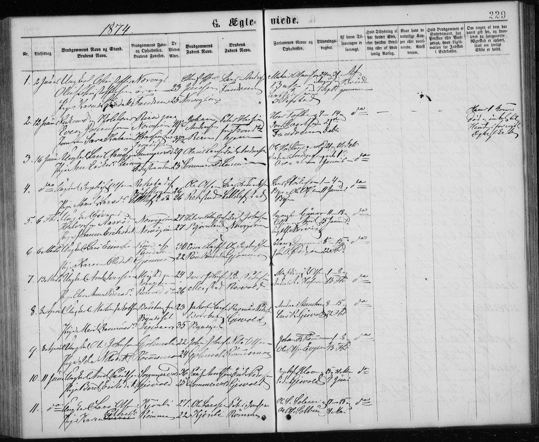 Ministerialprotokoller, klokkerbøker og fødselsregistre - Sør-Trøndelag, SAT/A-1456/668/L0817: Parish register (copy) no. 668C06, 1873-1884, p. 229