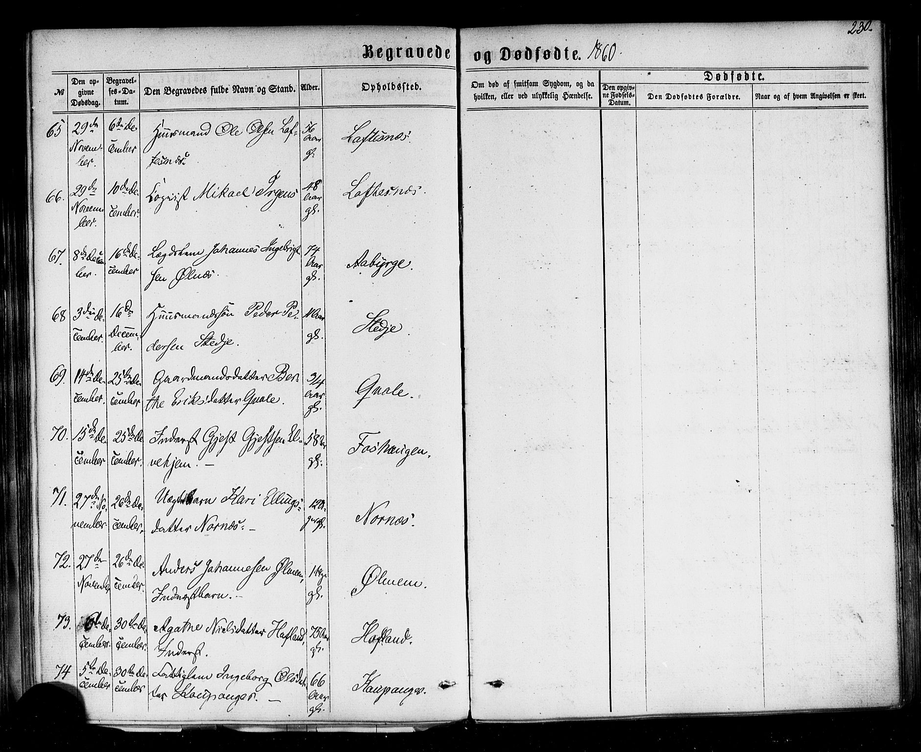 Sogndal sokneprestembete, AV/SAB-A-81301/H/Haa/Haaa/L0013: Parish register (official) no. A 13, 1859-1877, p. 230