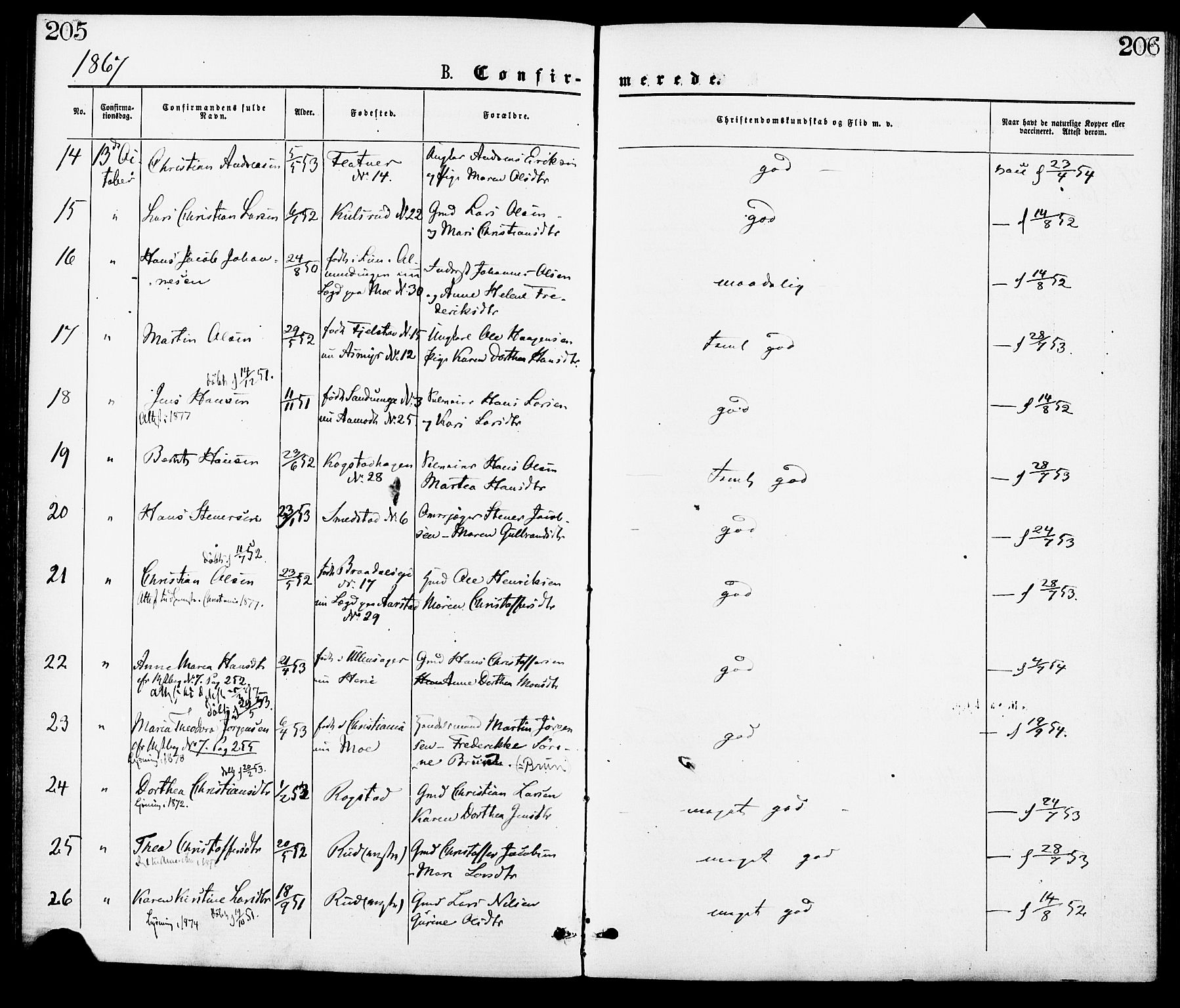 Gjerdrum prestekontor Kirkebøker, AV/SAO-A-10412b/F/Fa/L0008: Parish register (official) no. I 8, 1867-1880, p. 205-206