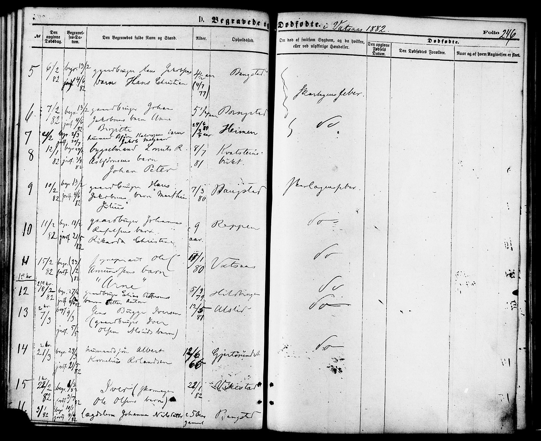 Ministerialprotokoller, klokkerbøker og fødselsregistre - Nordland, AV/SAT-A-1459/810/L0148: Parish register (official) no. 810A09 /1, 1874-1884, p. 246