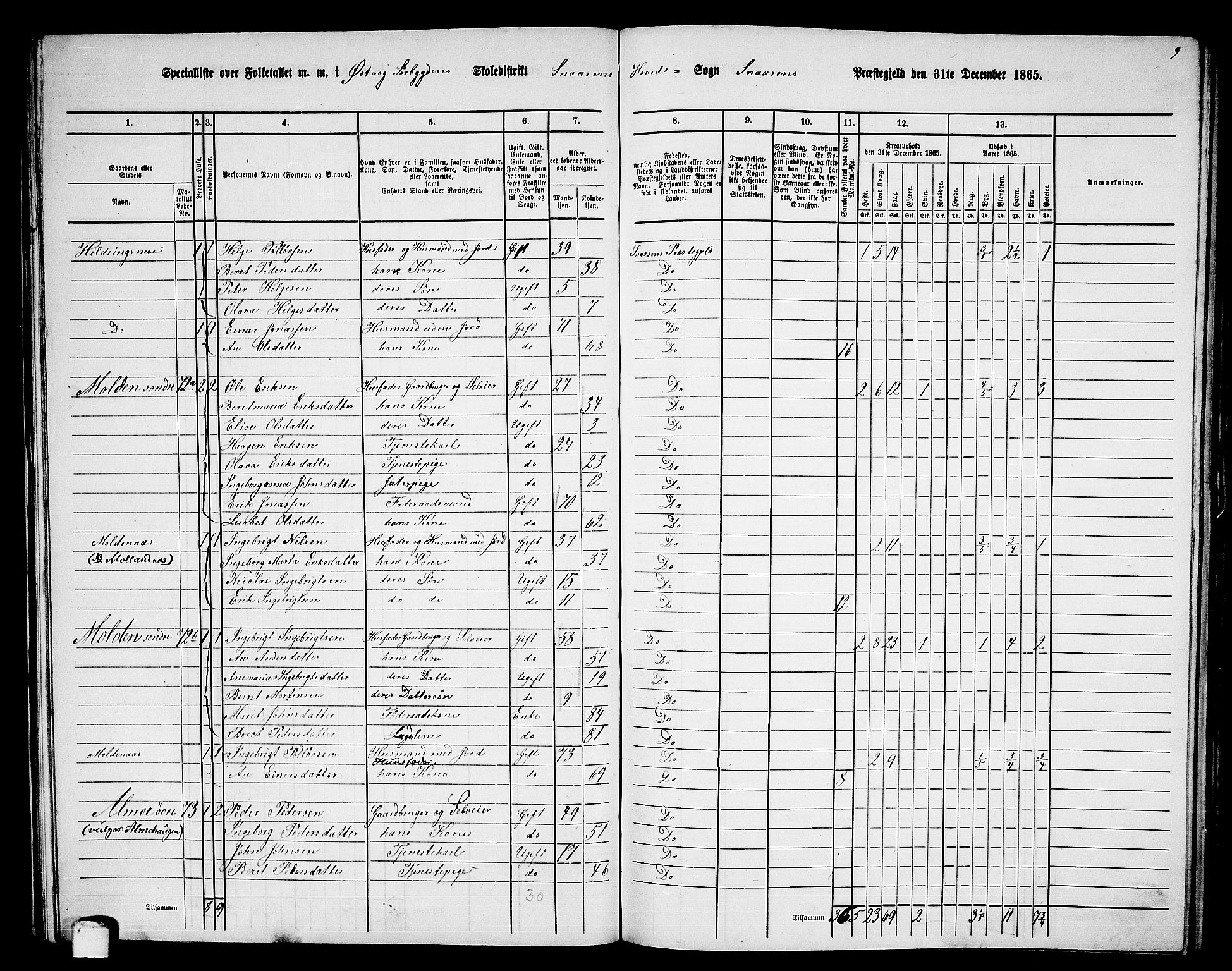 RA, 1865 census for Snåsa, 1865, p. 41