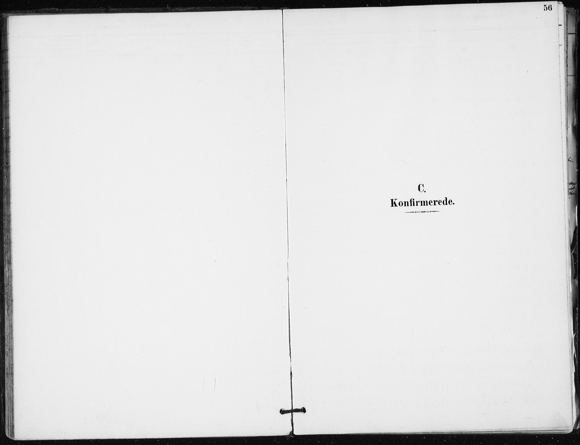 Modum kirkebøker, SAKO/A-234/F/Fa/L0016: Parish register (official) no. 16, 1890-1899, p. 56