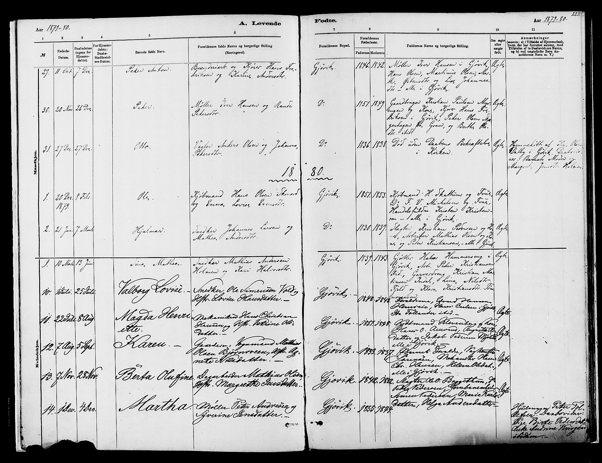 Vardal prestekontor, SAH/PREST-100/H/Ha/Haa/L0008: Parish register (official) no. 8, 1878-1890, p. 223