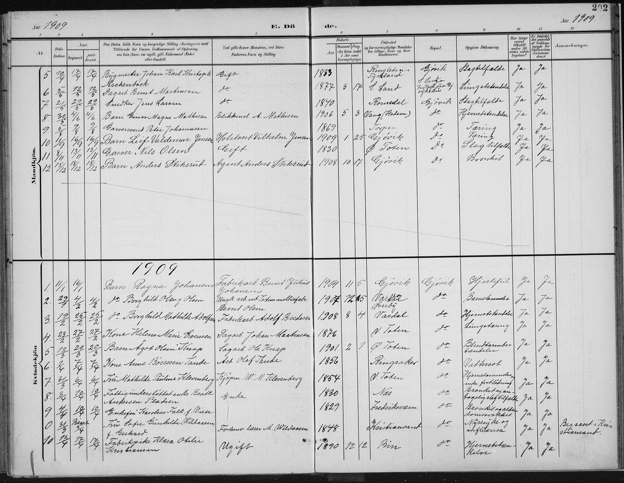 Vardal prestekontor, SAH/PREST-100/H/Ha/Haa/L0013: Parish register (official) no. 13, 1901-1911, p. 202