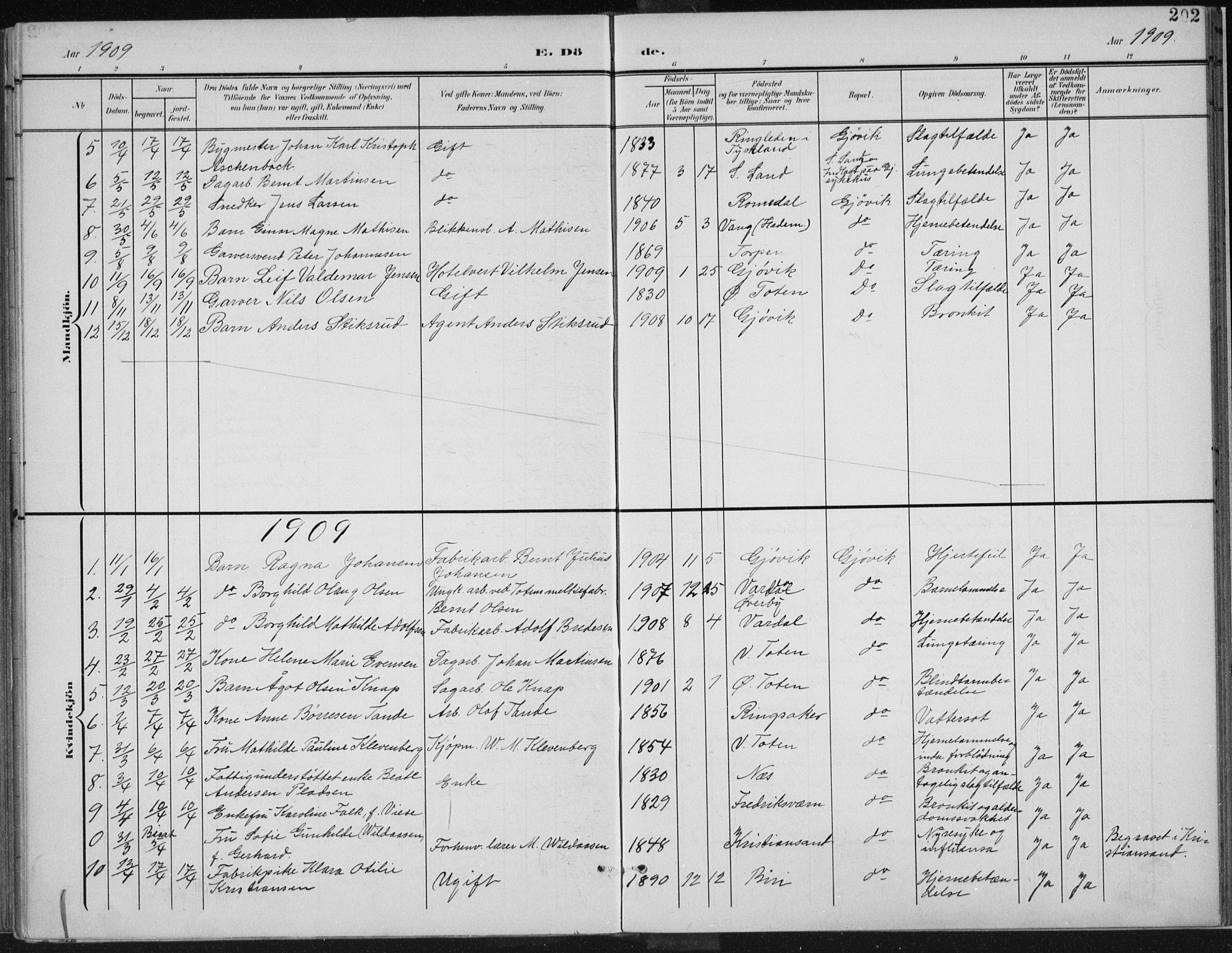 Vardal prestekontor, AV/SAH-PREST-100/H/Ha/Haa/L0013: Parish register (official) no. 13, 1901-1911, p. 202