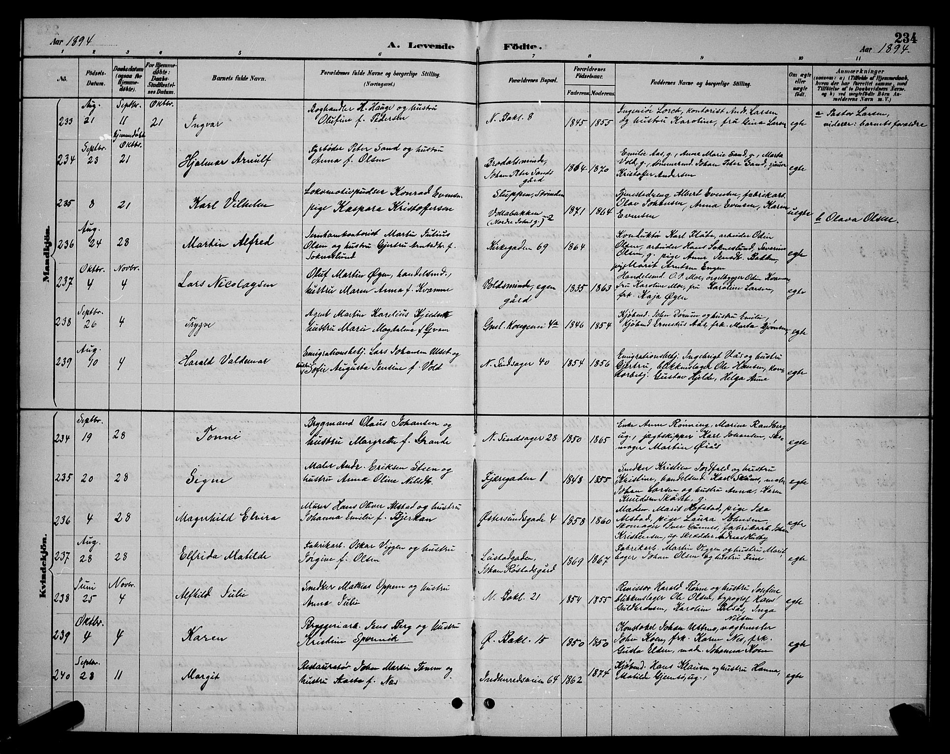 Ministerialprotokoller, klokkerbøker og fødselsregistre - Sør-Trøndelag, AV/SAT-A-1456/604/L0222: Parish register (copy) no. 604C05, 1886-1895, p. 234