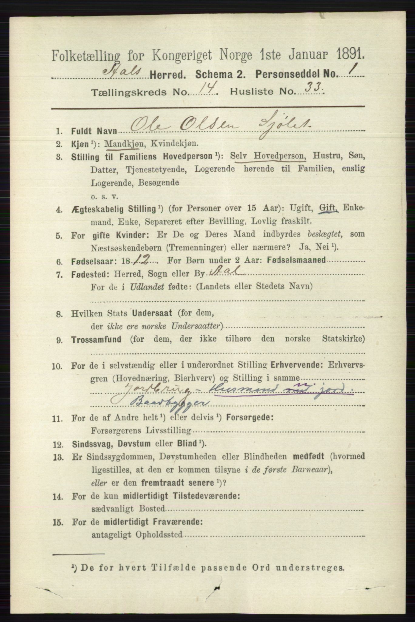 RA, 1891 census for 0619 Ål, 1891, p. 3705