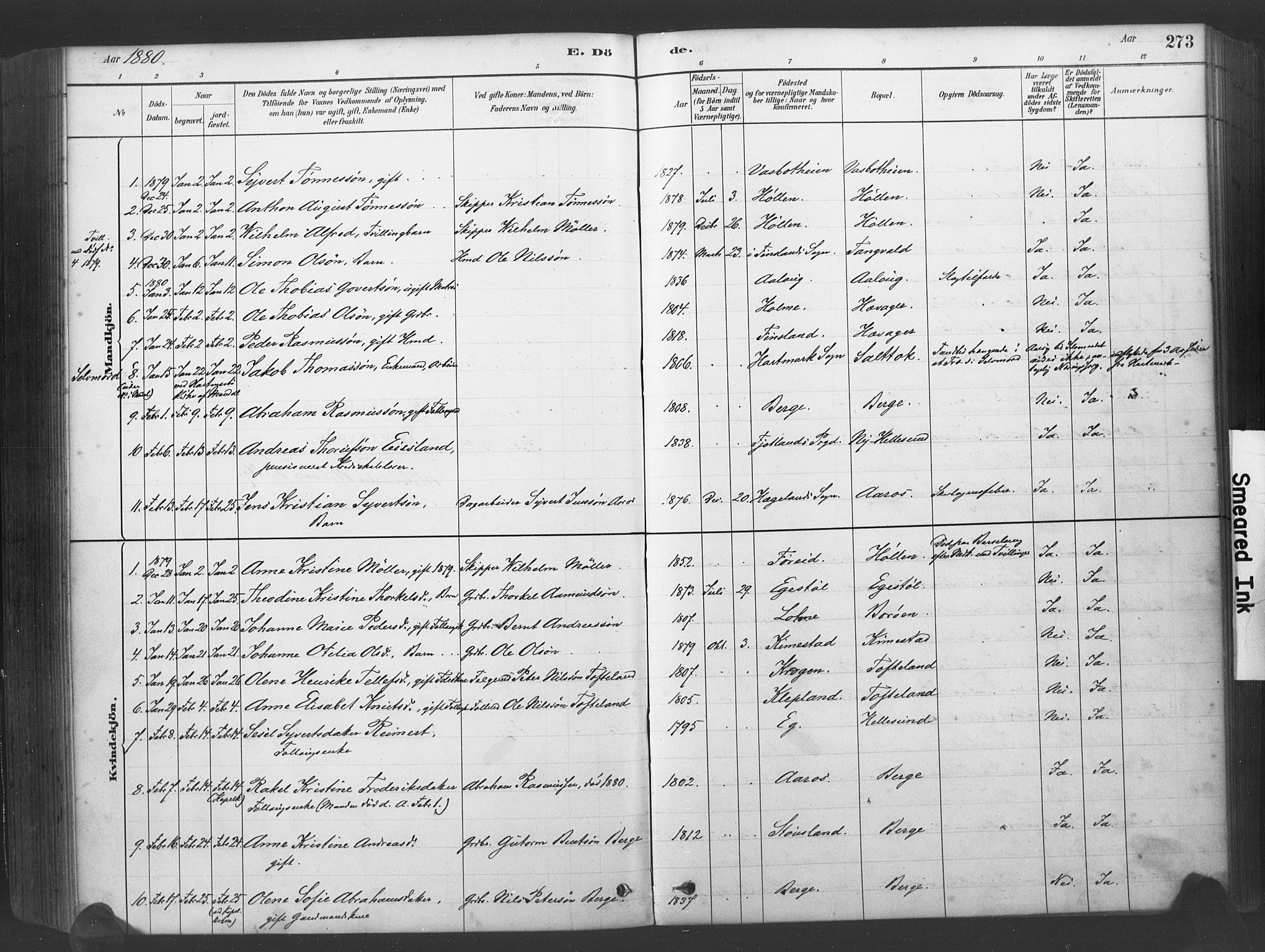 Søgne sokneprestkontor, SAK/1111-0037/F/Fa/Fab/L0012: Parish register (official) no. A 12, 1880-1891, p. 273