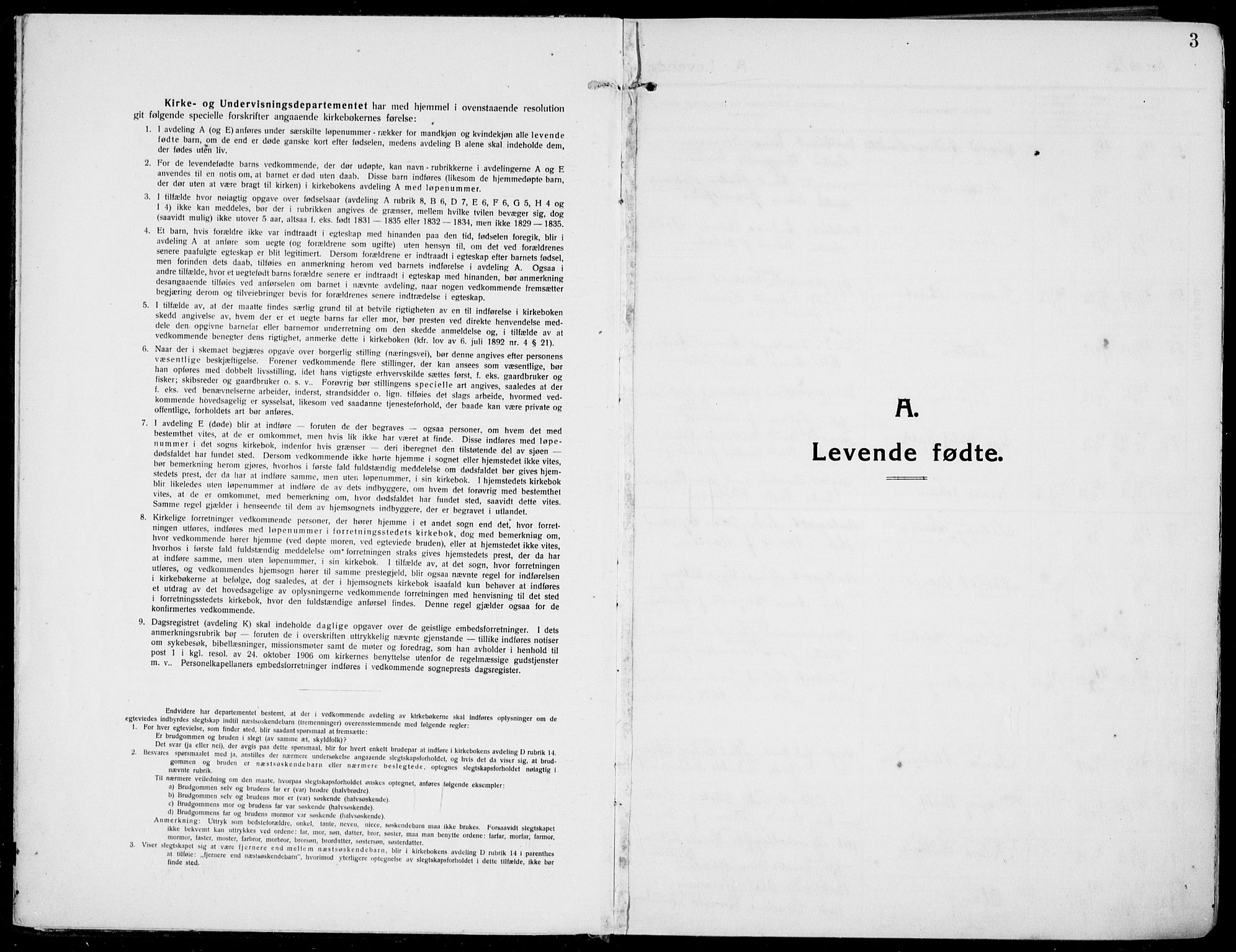 Rjukan kirkebøker, SAKO/A-294/F/Fa/L0002: Parish register (official) no. 2, 1912-1917, p. 3