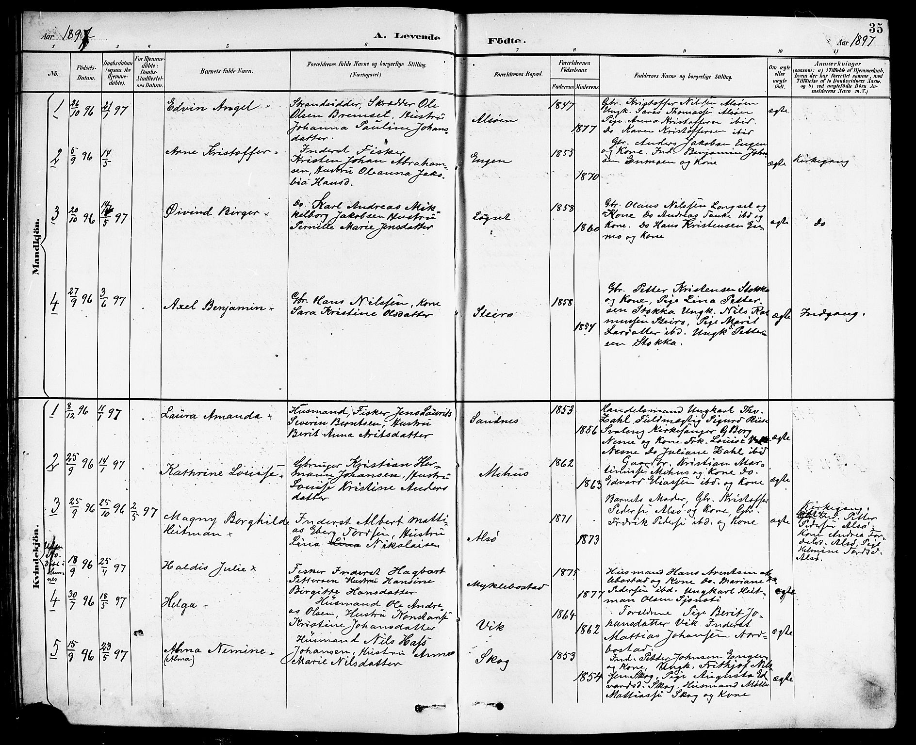 Ministerialprotokoller, klokkerbøker og fødselsregistre - Nordland, AV/SAT-A-1459/838/L0559: Parish register (copy) no. 838C06, 1893-1910, p. 35