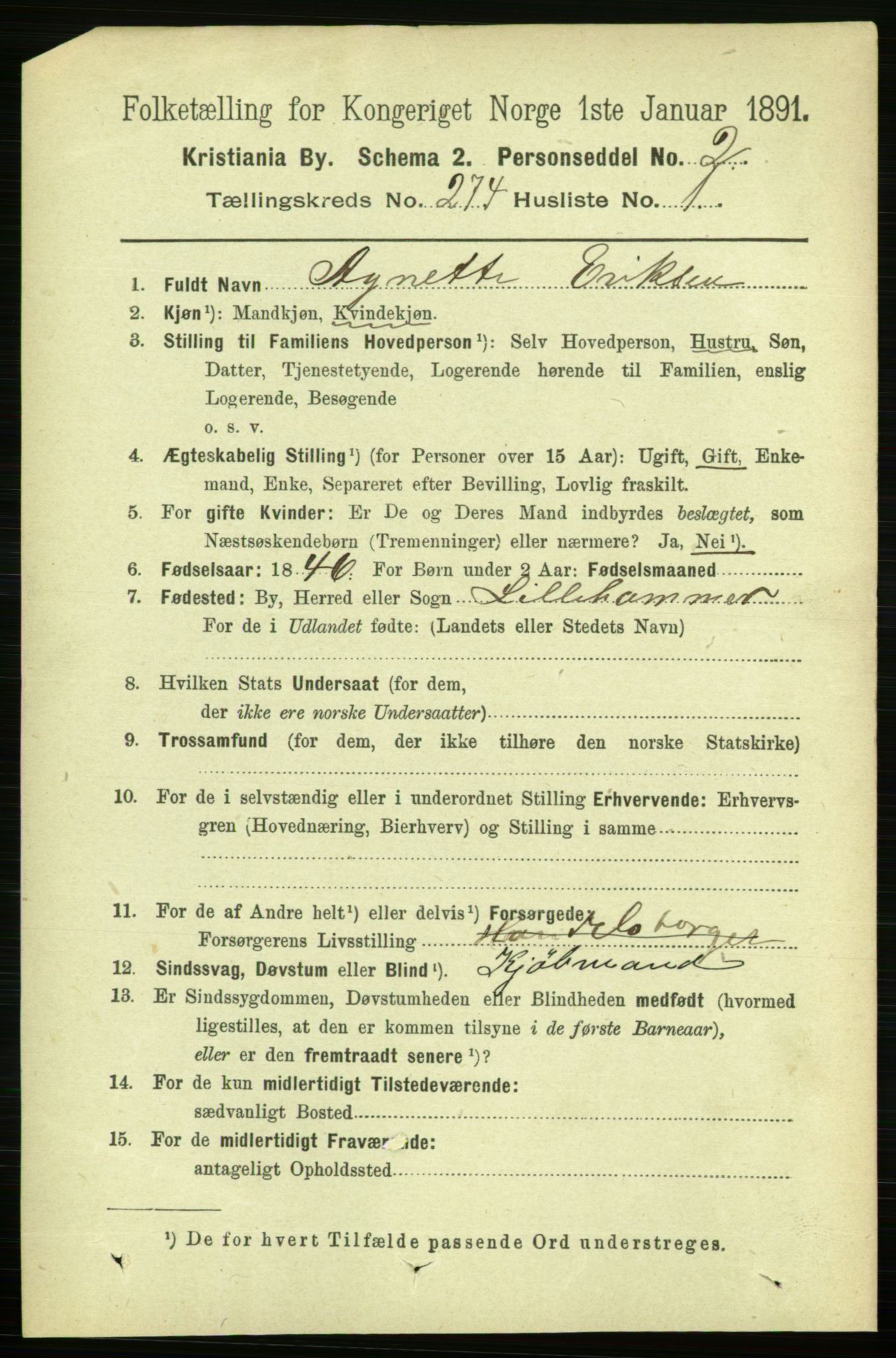 RA, 1891 census for 0301 Kristiania, 1891, p. 166402