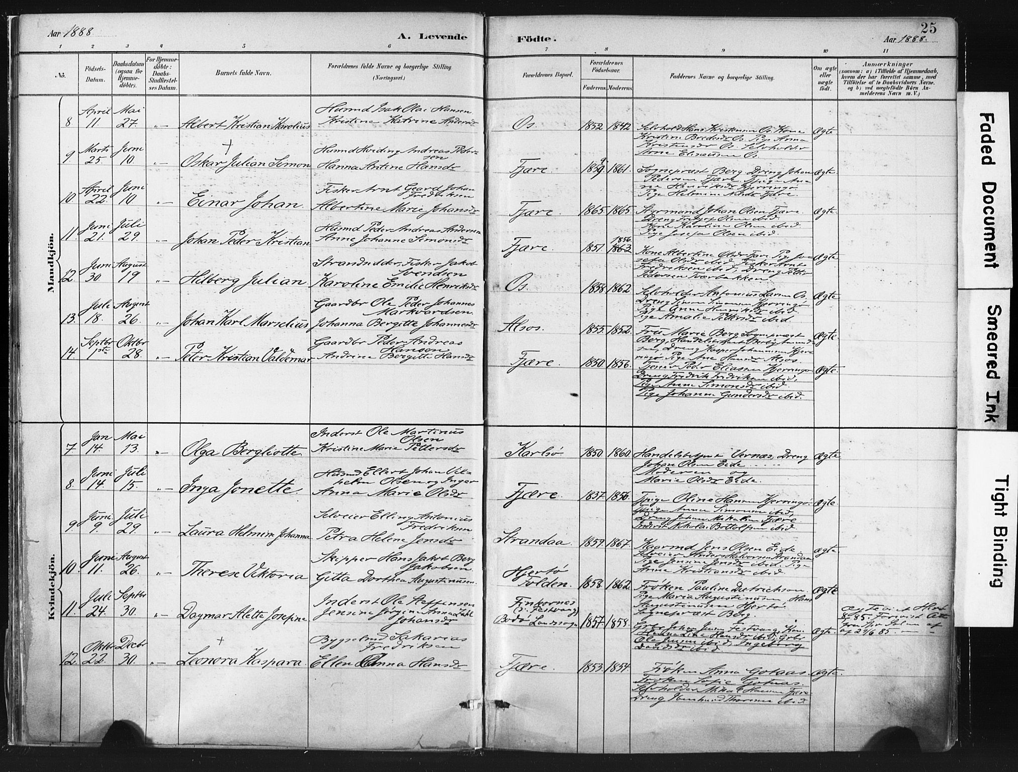 Ministerialprotokoller, klokkerbøker og fødselsregistre - Nordland, SAT/A-1459/803/L0071: Parish register (official) no. 803A01, 1881-1897, p. 25