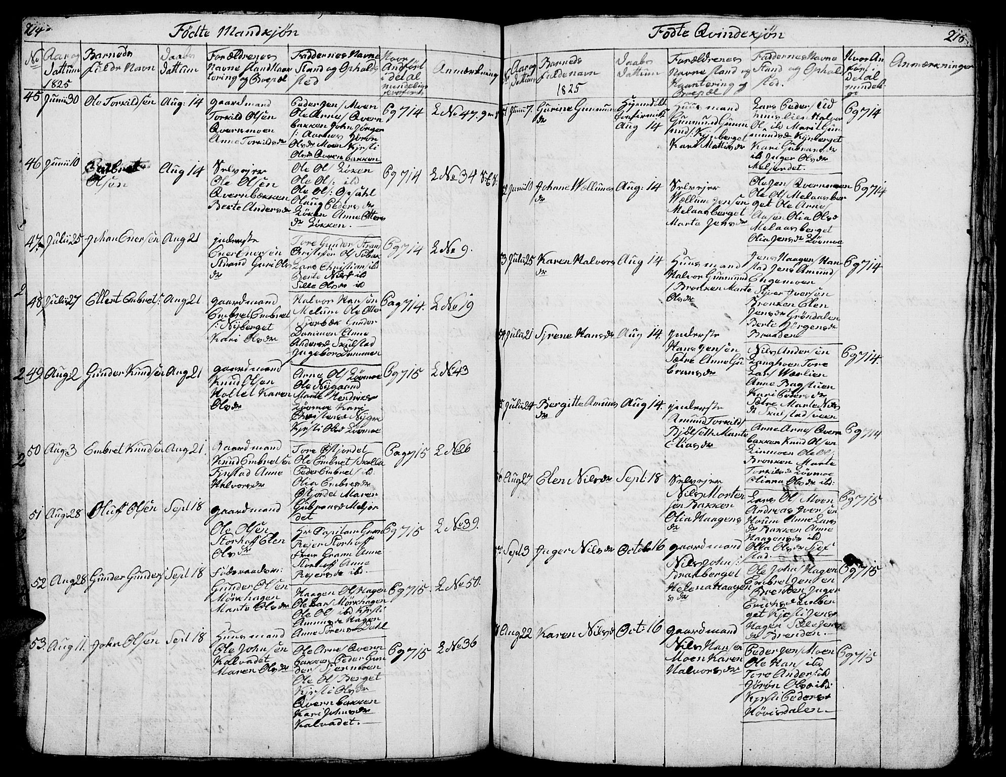 Elverum prestekontor, AV/SAH-PREST-044/H/Ha/Hab/L0001: Parish register (copy) no. 1, 1815-1829, p. 214-215