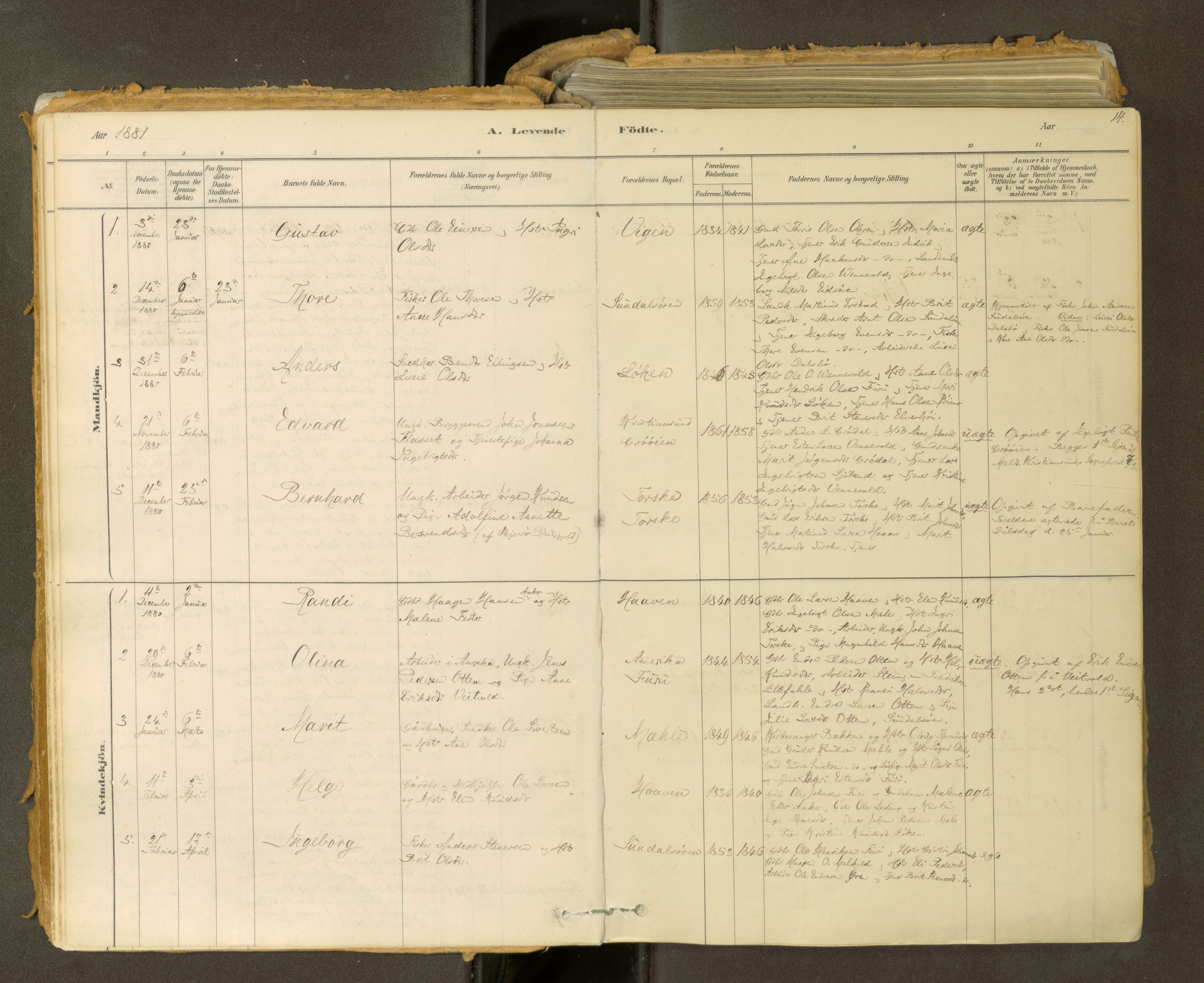 Sunndal sokneprestkontor, SAT/A-1085/1/I/I1/I1a: Parish register (official) no. 2, 1877-1914, p. 14