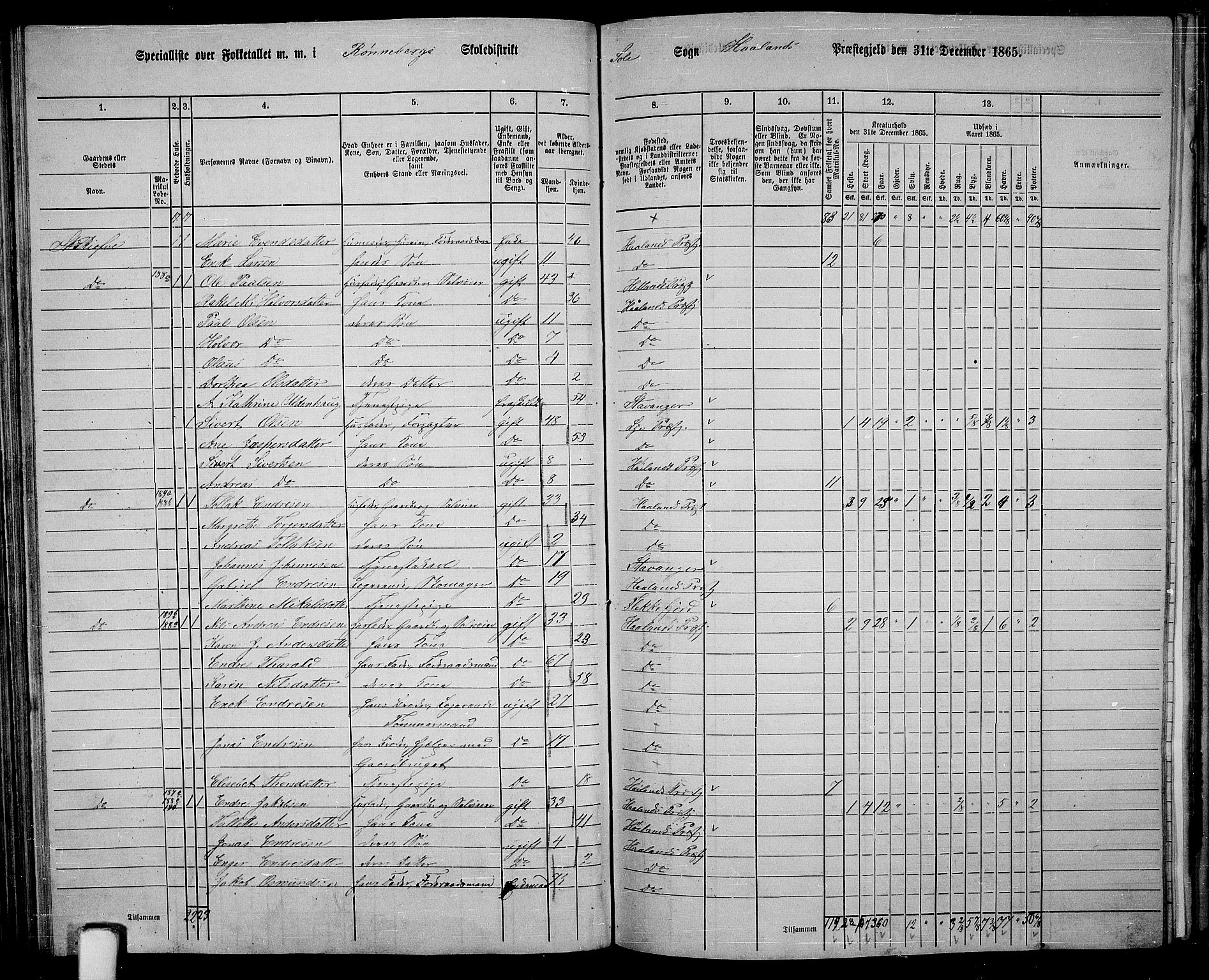 RA, 1865 census for Håland, 1865, p. 89