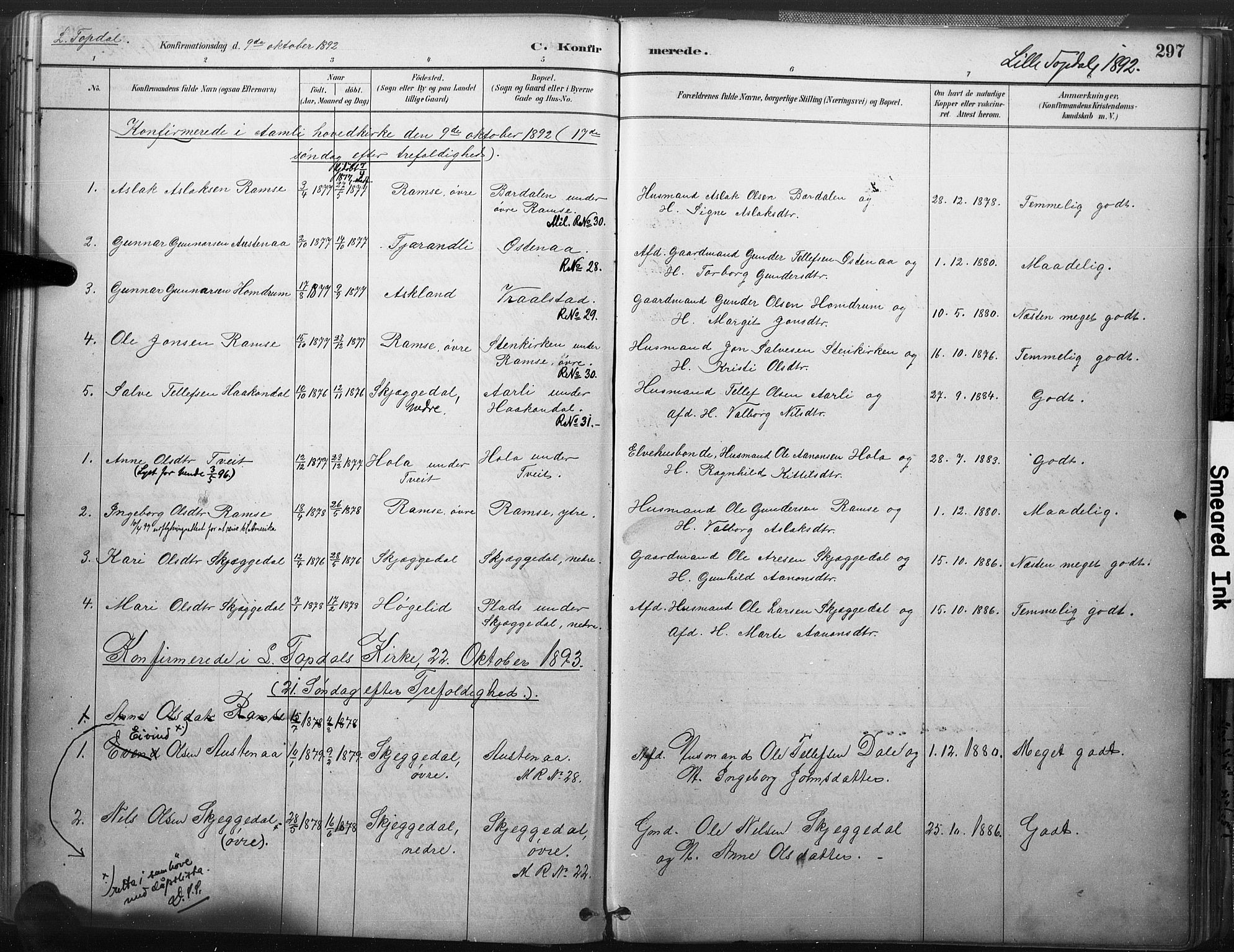 Åmli sokneprestkontor, SAK/1111-0050/F/Fa/Fac/L0010: Parish register (official) no. A 10 /3, 1885-1899, p. 297