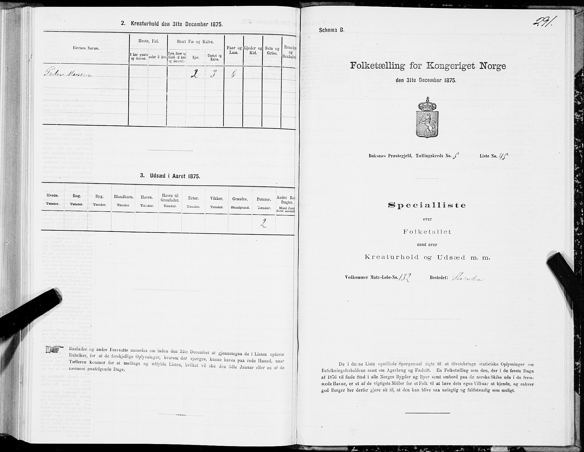 SAT, 1875 census for 1860P Buksnes, 1875, p. 2291