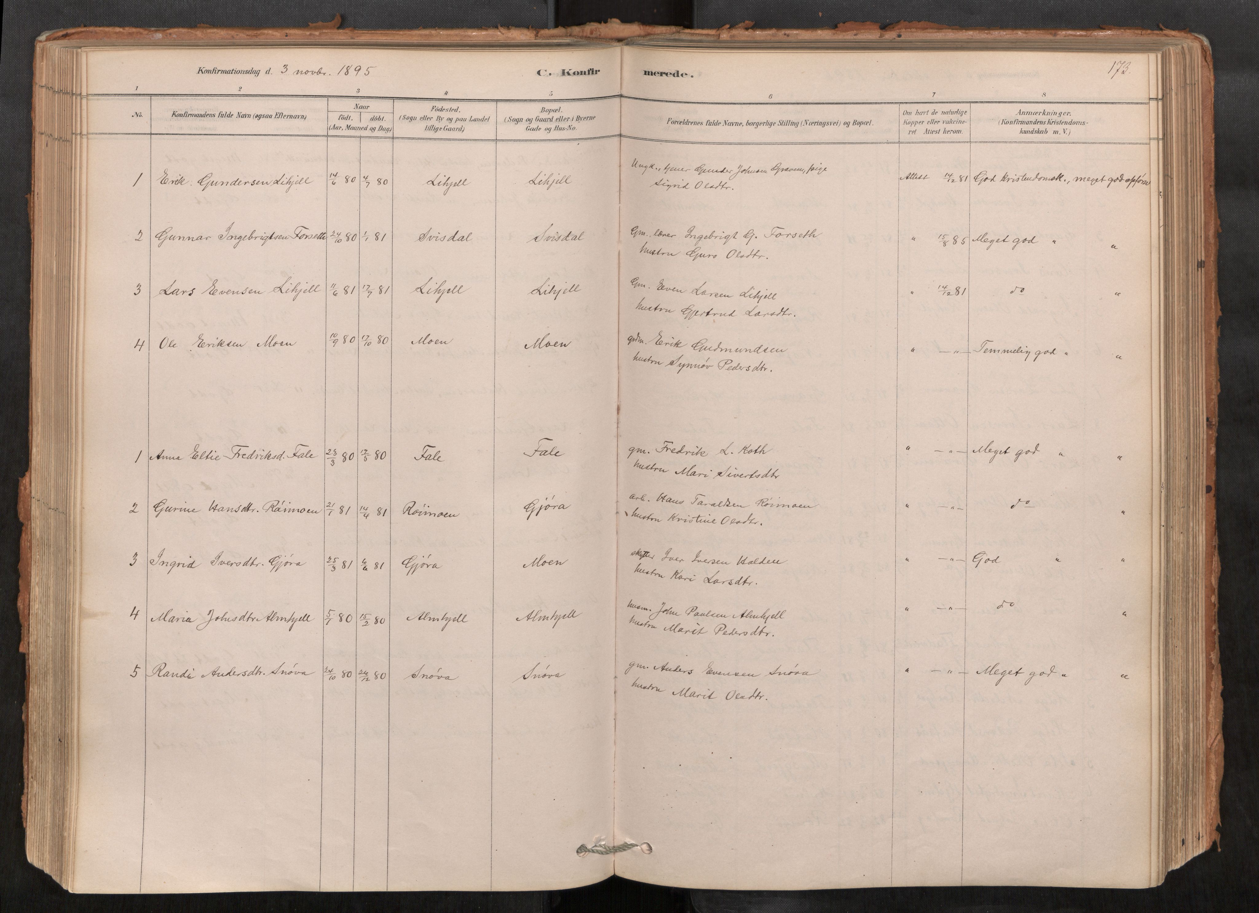 Sunndal sokneprestkontor, AV/SAT-A-1085/1/I/I1/I1a/L0001: Parish register (official) no. 1, 1877-1914, p. 173