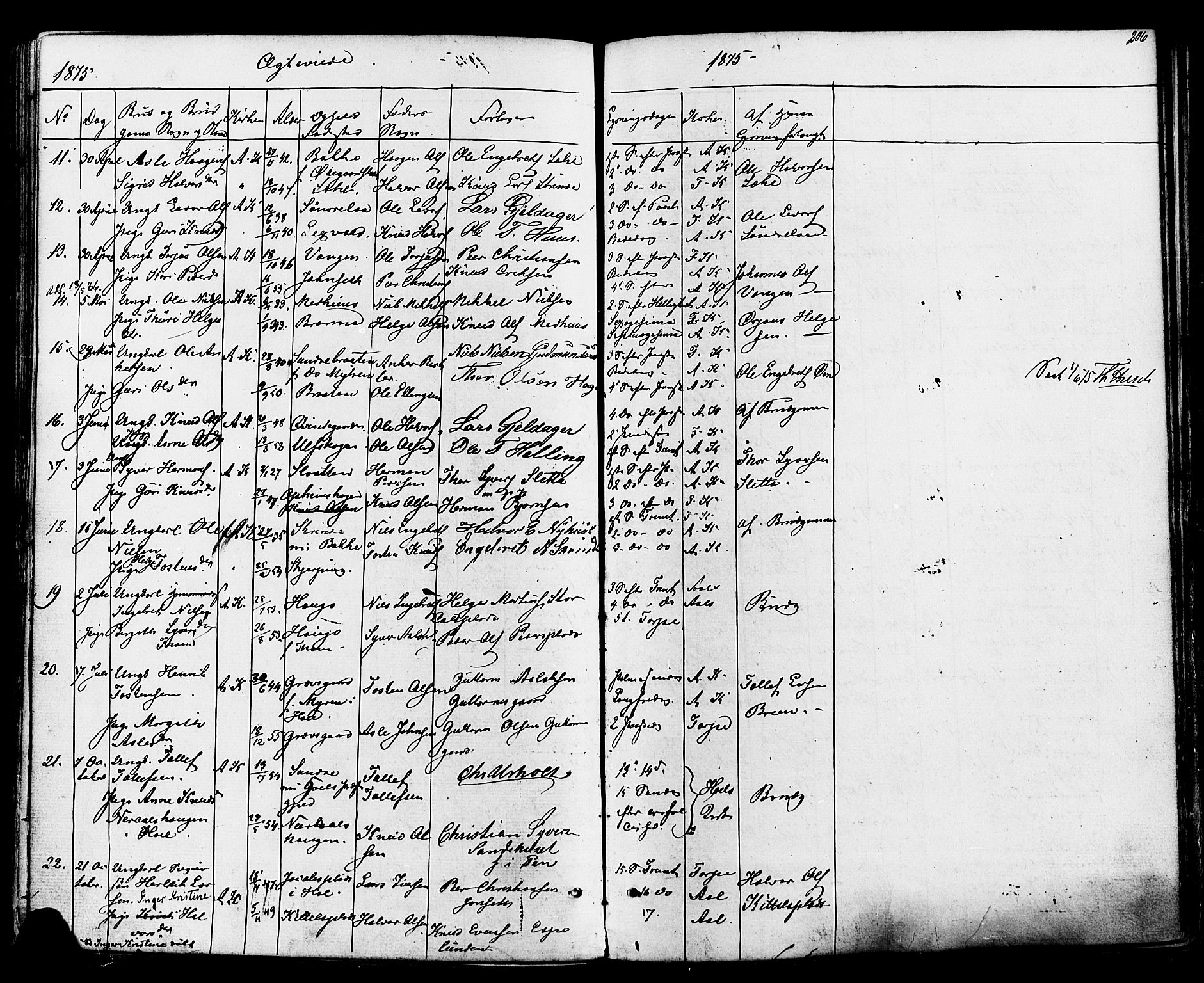 Ål kirkebøker, SAKO/A-249/F/Fa/L0007: Parish register (official) no. I 7, 1865-1881, p. 206