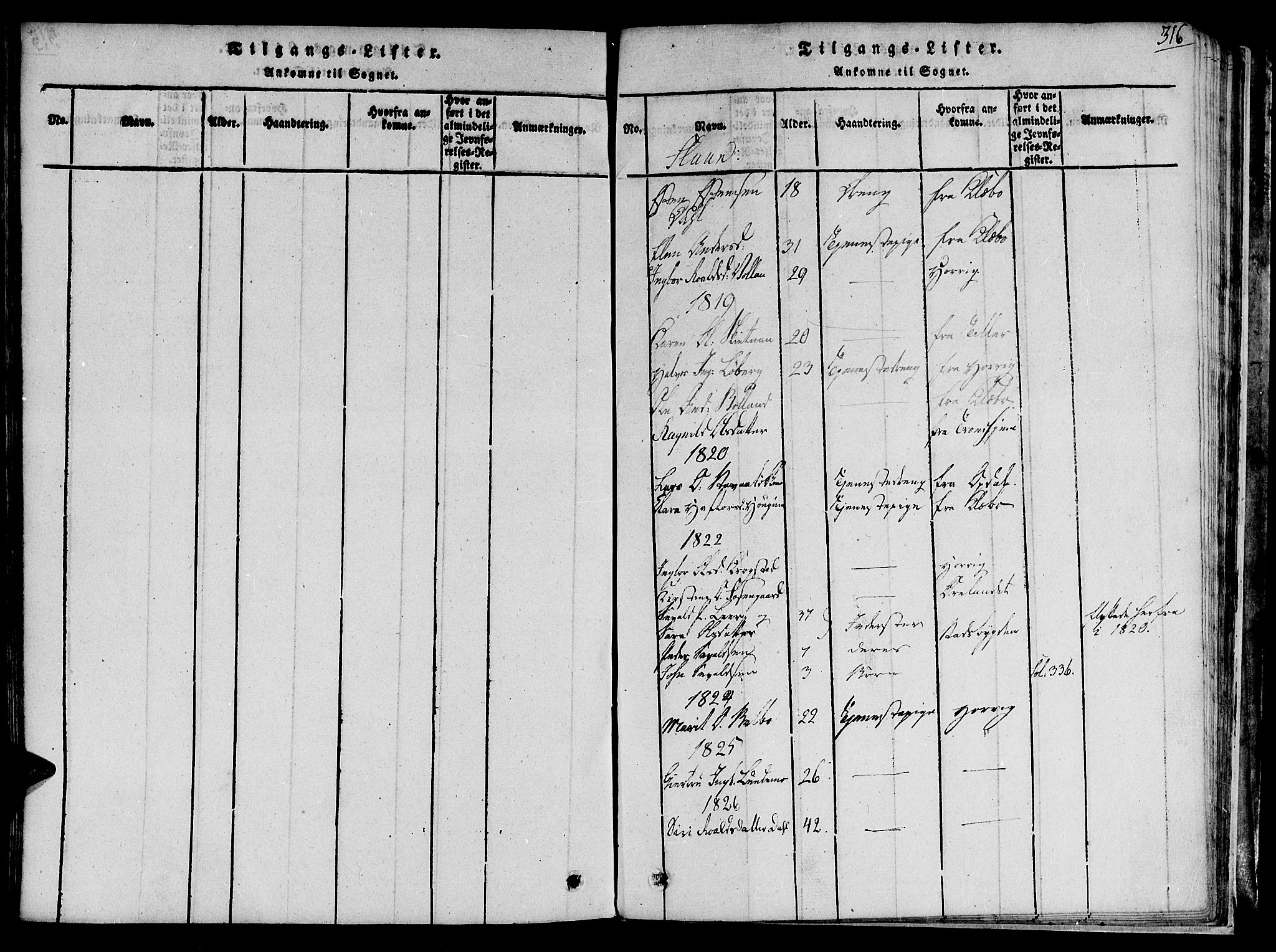 Ministerialprotokoller, klokkerbøker og fødselsregistre - Sør-Trøndelag, SAT/A-1456/691/L1066: Parish register (official) no. 691A03 /2, 1816-1826, p. 316