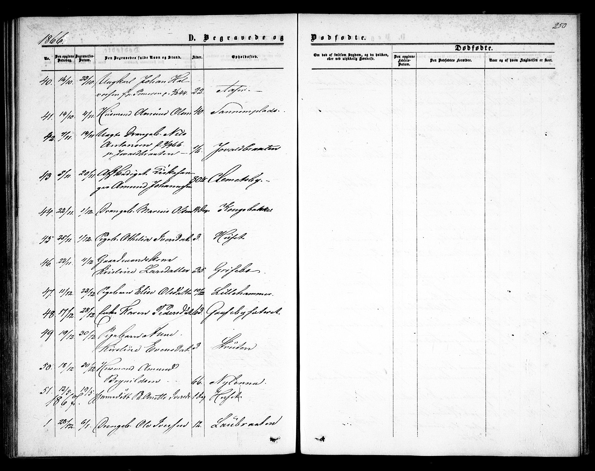 Rødenes prestekontor Kirkebøker, SAO/A-2005/F/Fa/L0007: Parish register (official) no. I 7, 1860-1869, p. 250