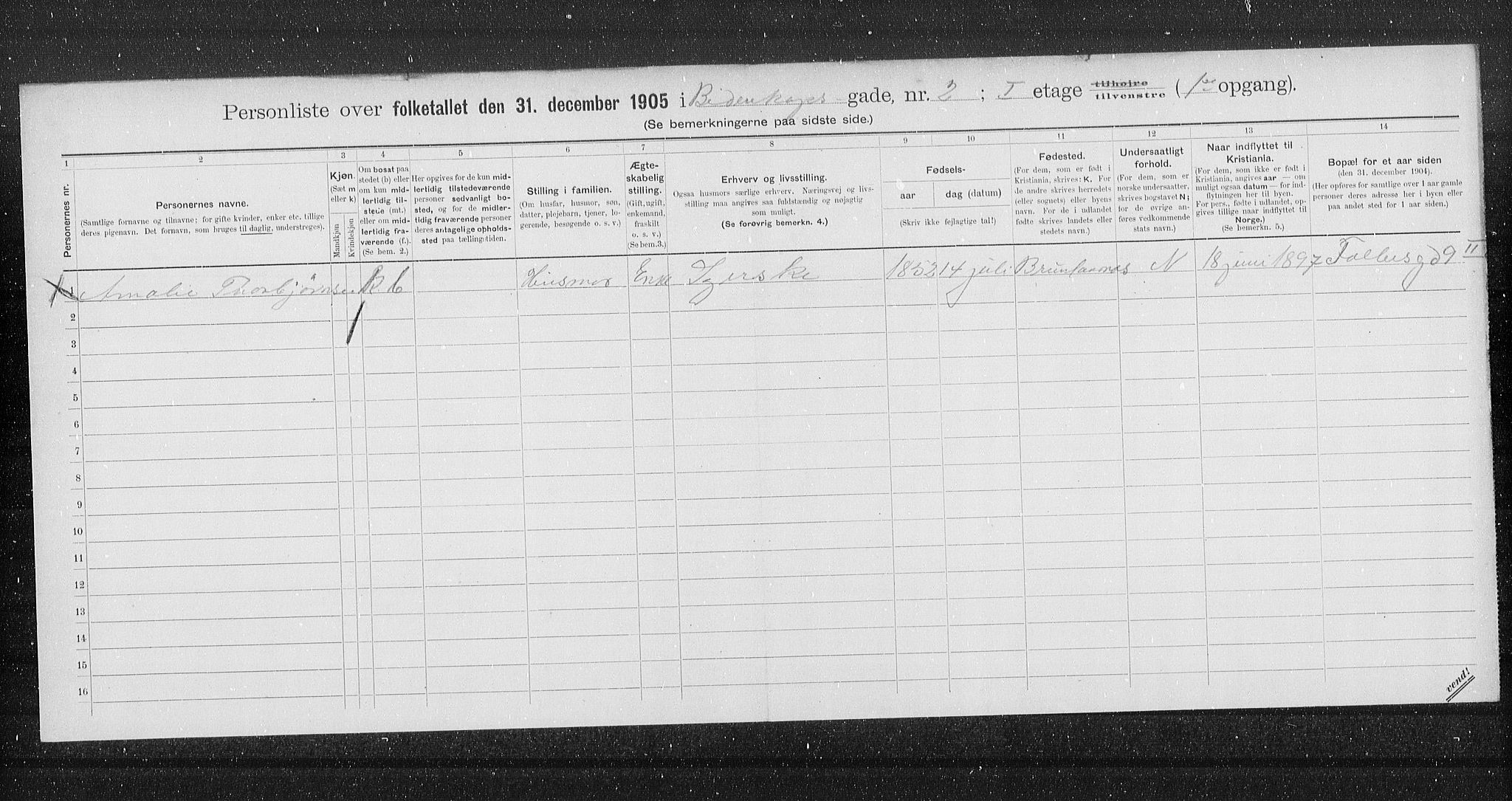 OBA, Municipal Census 1905 for Kristiania, 1905, p. 2299