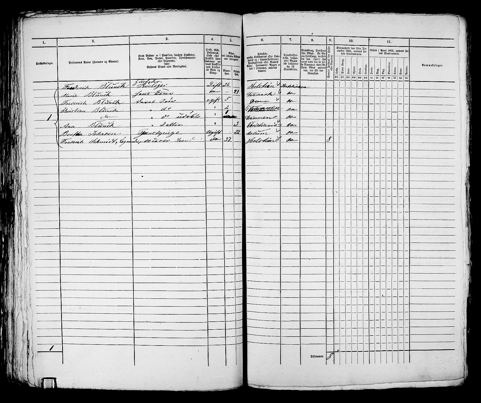 RA, 1865 census for Bragernes in Drammen, 1865, p. 805