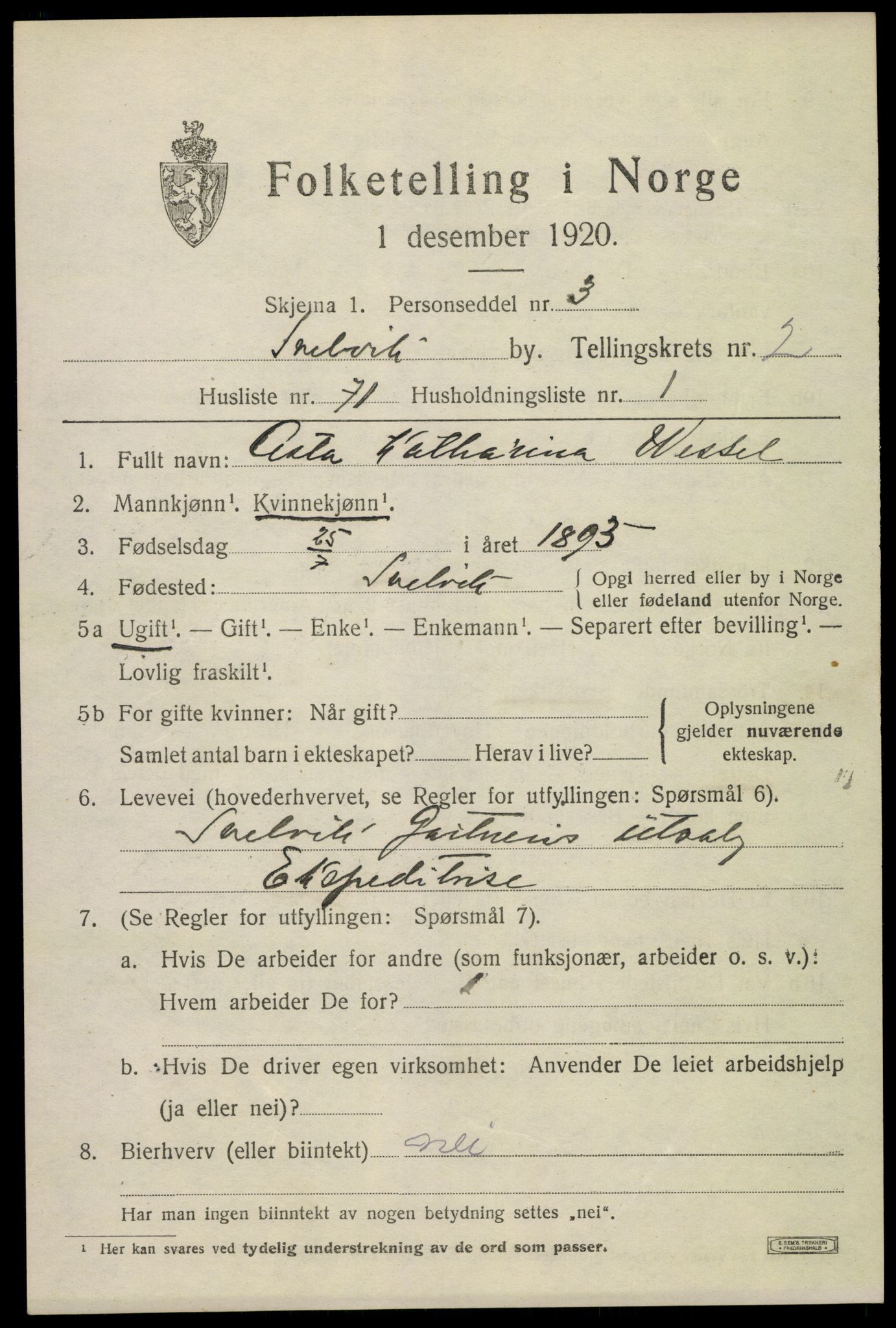 SAKO, 1920 census for Svelvik, 1920, p. 3133