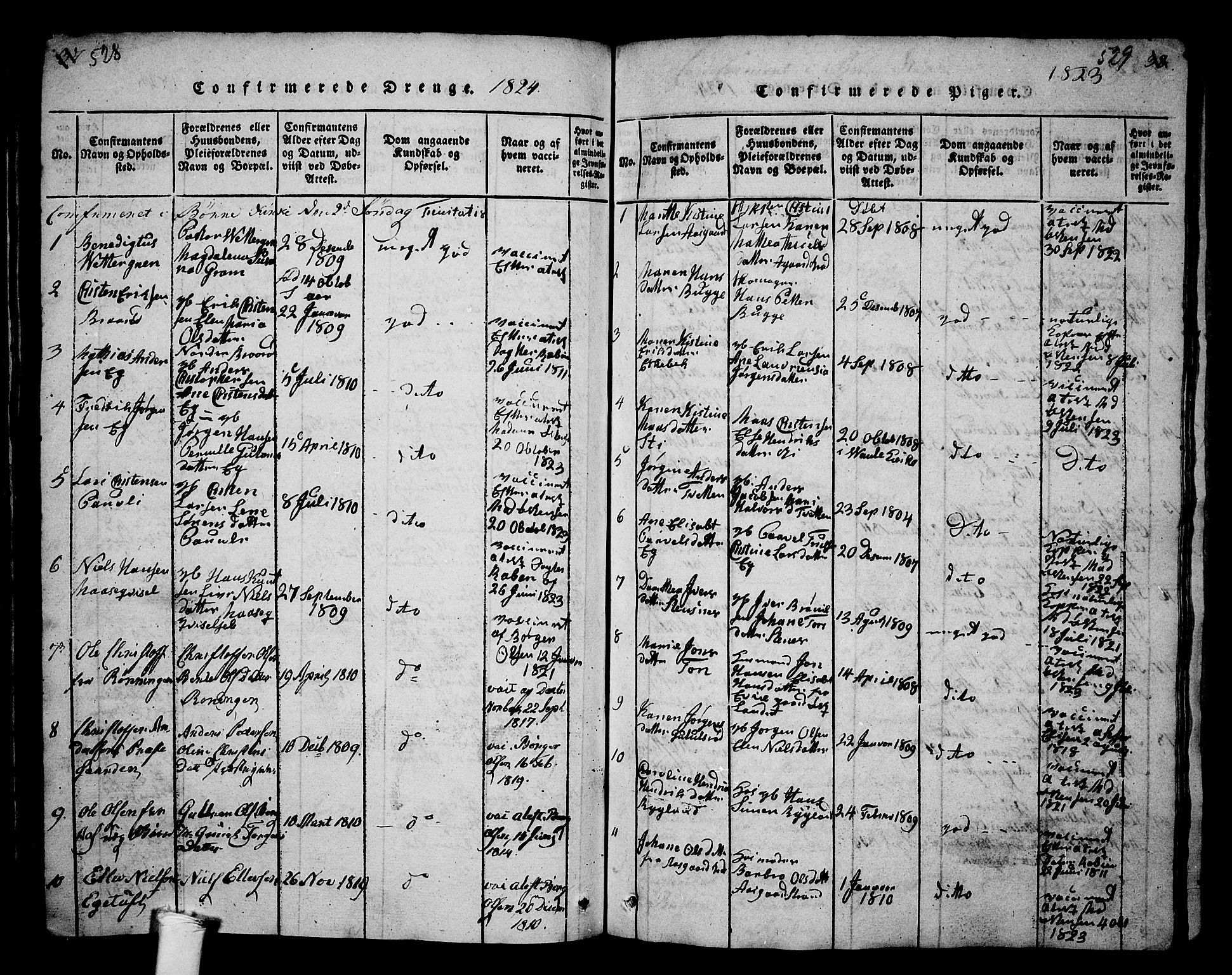 Borre kirkebøker, SAKO/A-338/G/Ga/L0001: Parish register (copy) no. I 1, 1815-1851, p. 528-529