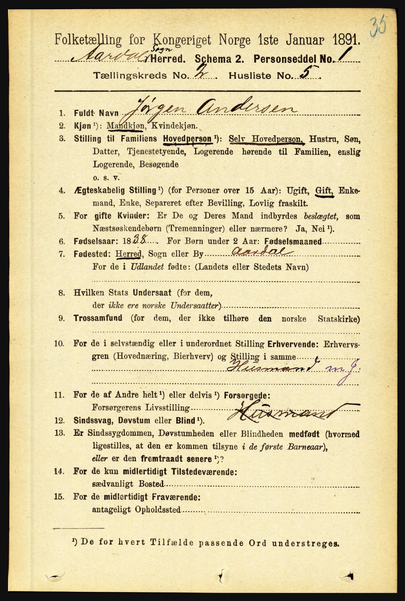 RA, 1891 census for 1424 Årdal, 1891, p. 196