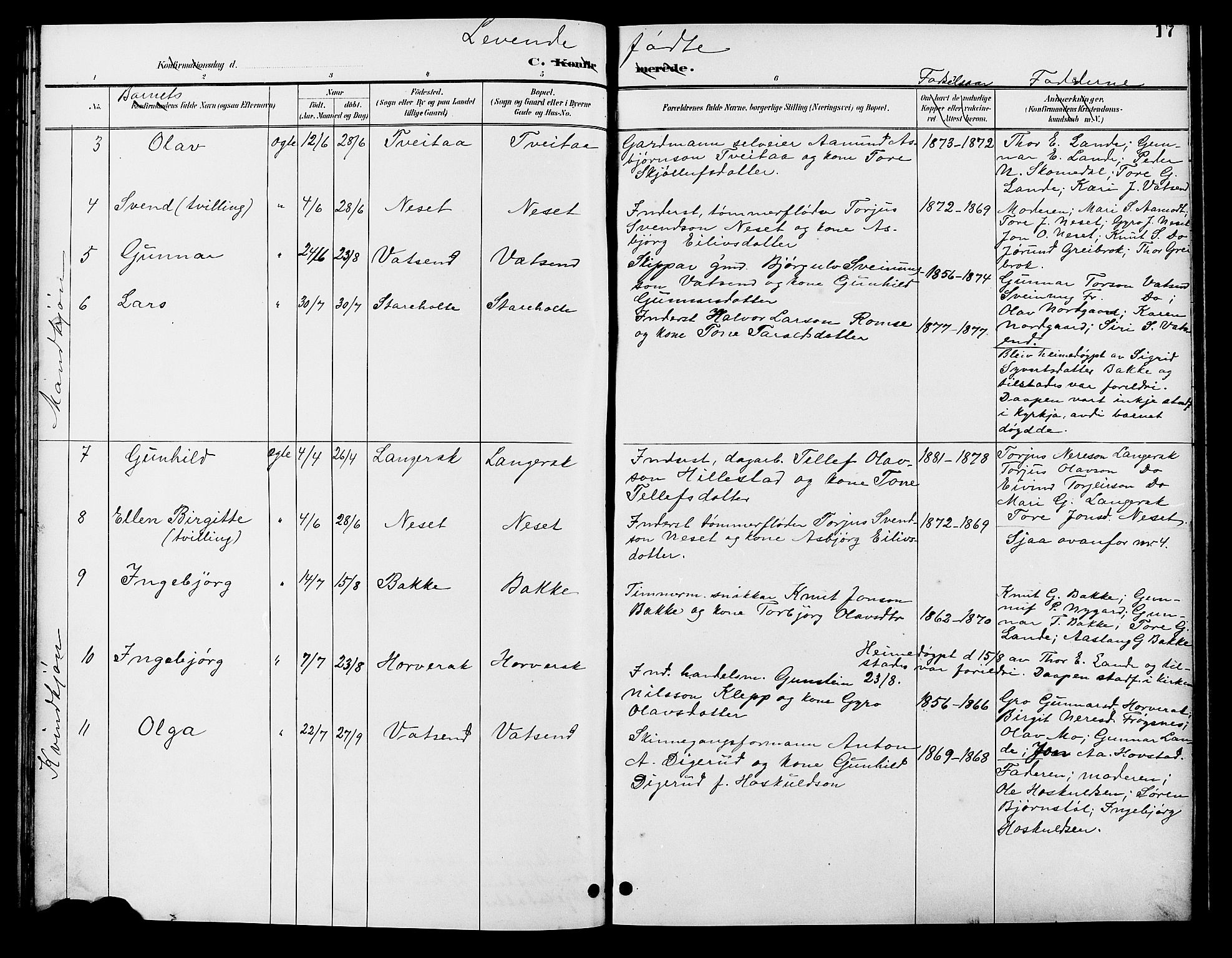 Bygland sokneprestkontor, AV/SAK-1111-0006/F/Fb/Fbd/L0002: Parish register (copy) no. B 2, 1894-1909, p. 17