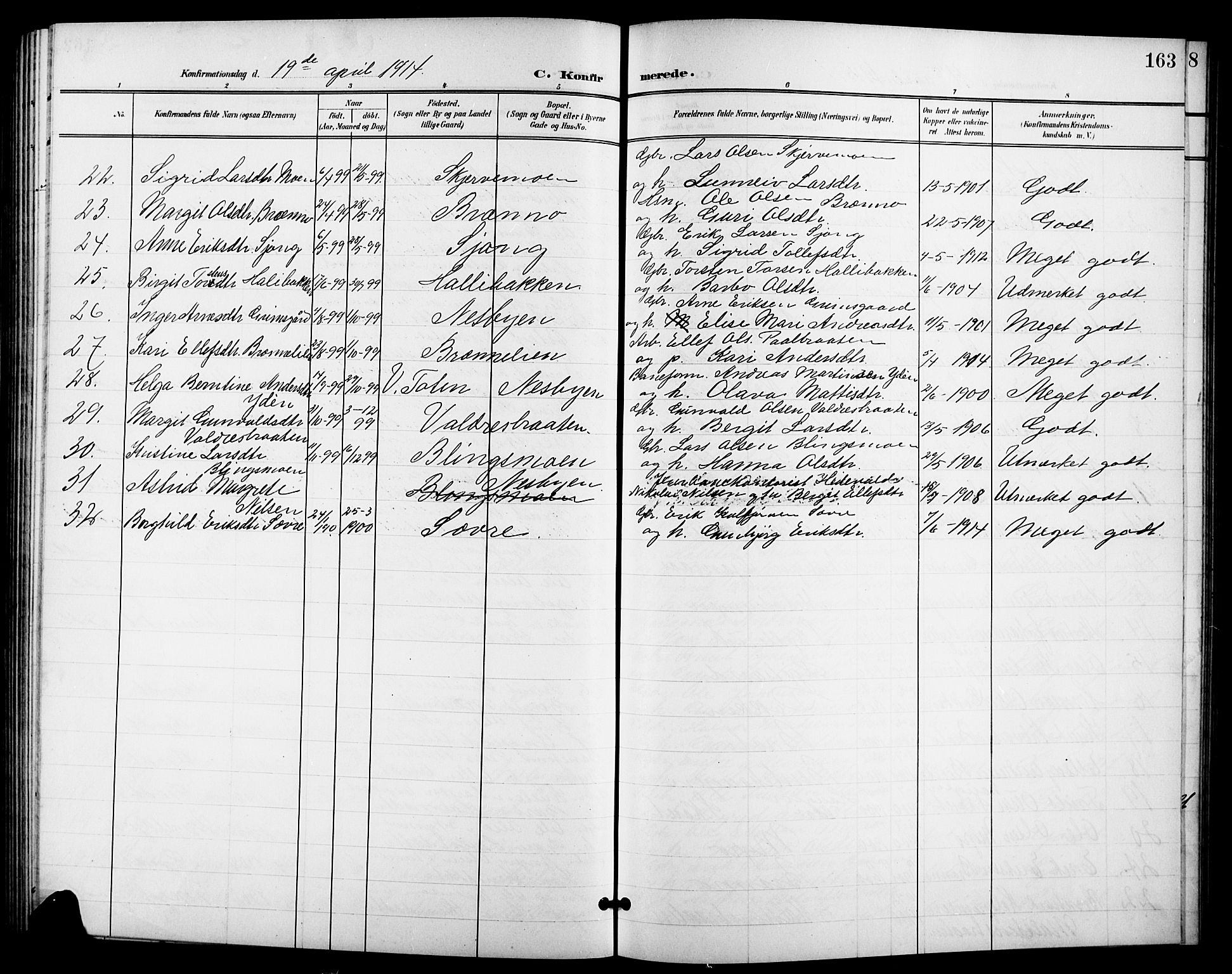 Nes kirkebøker, AV/SAKO-A-236/G/Ga/L0004: Parish register (copy) no. I 4, 1900-1925, p. 163