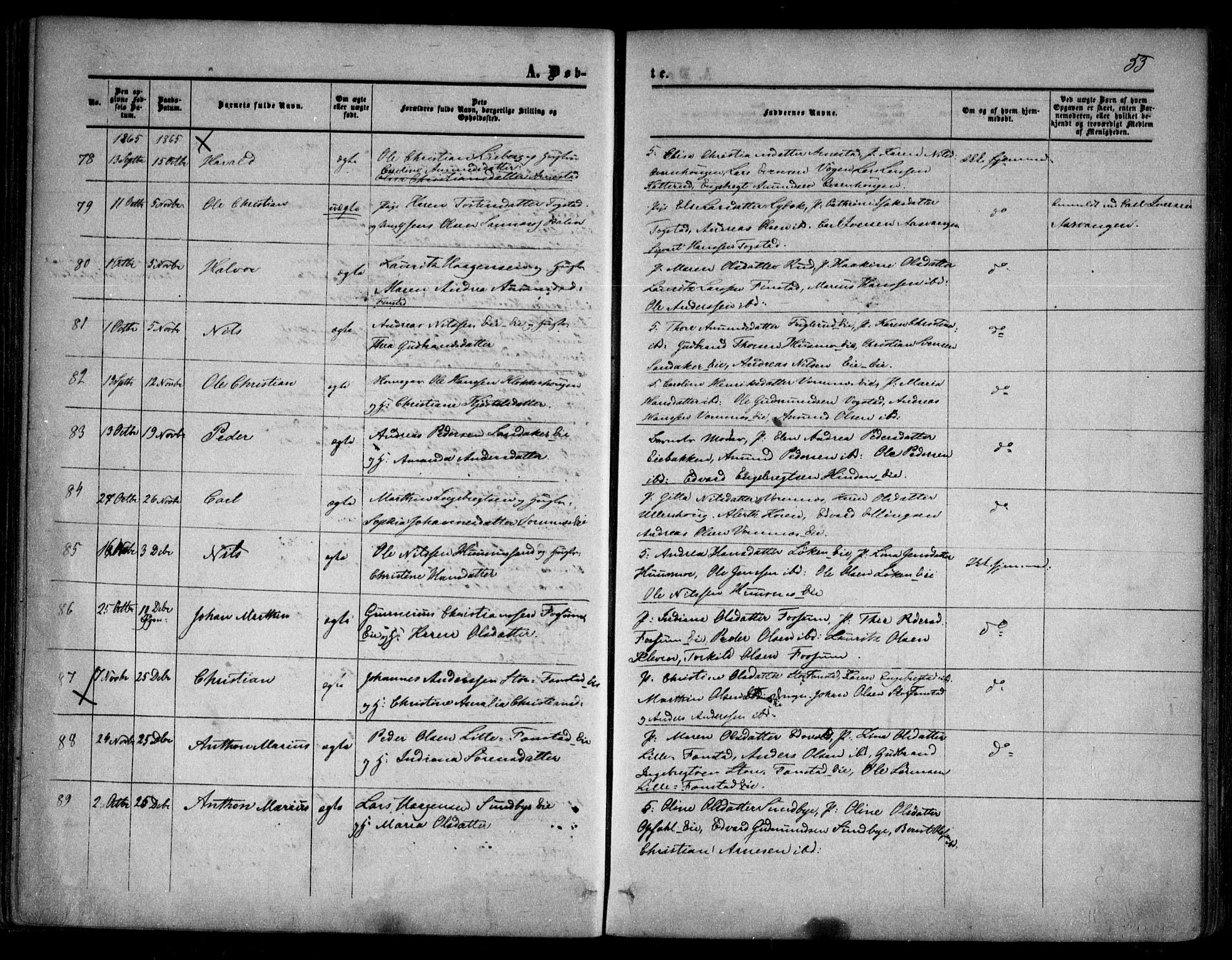 Nes prestekontor Kirkebøker, AV/SAO-A-10410/F/Fa/L0008: Parish register (official) no. I 8, 1859-1874, p. 53