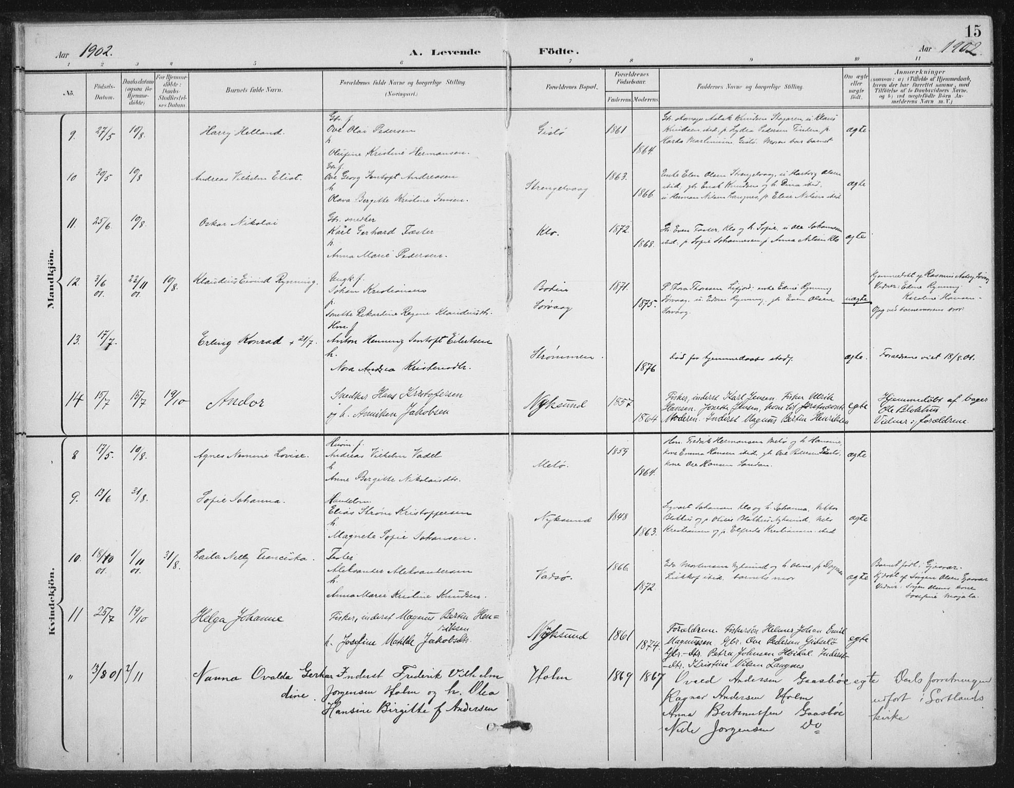 Ministerialprotokoller, klokkerbøker og fødselsregistre - Nordland, AV/SAT-A-1459/894/L1356: Parish register (official) no. 894A02, 1897-1914, p. 15