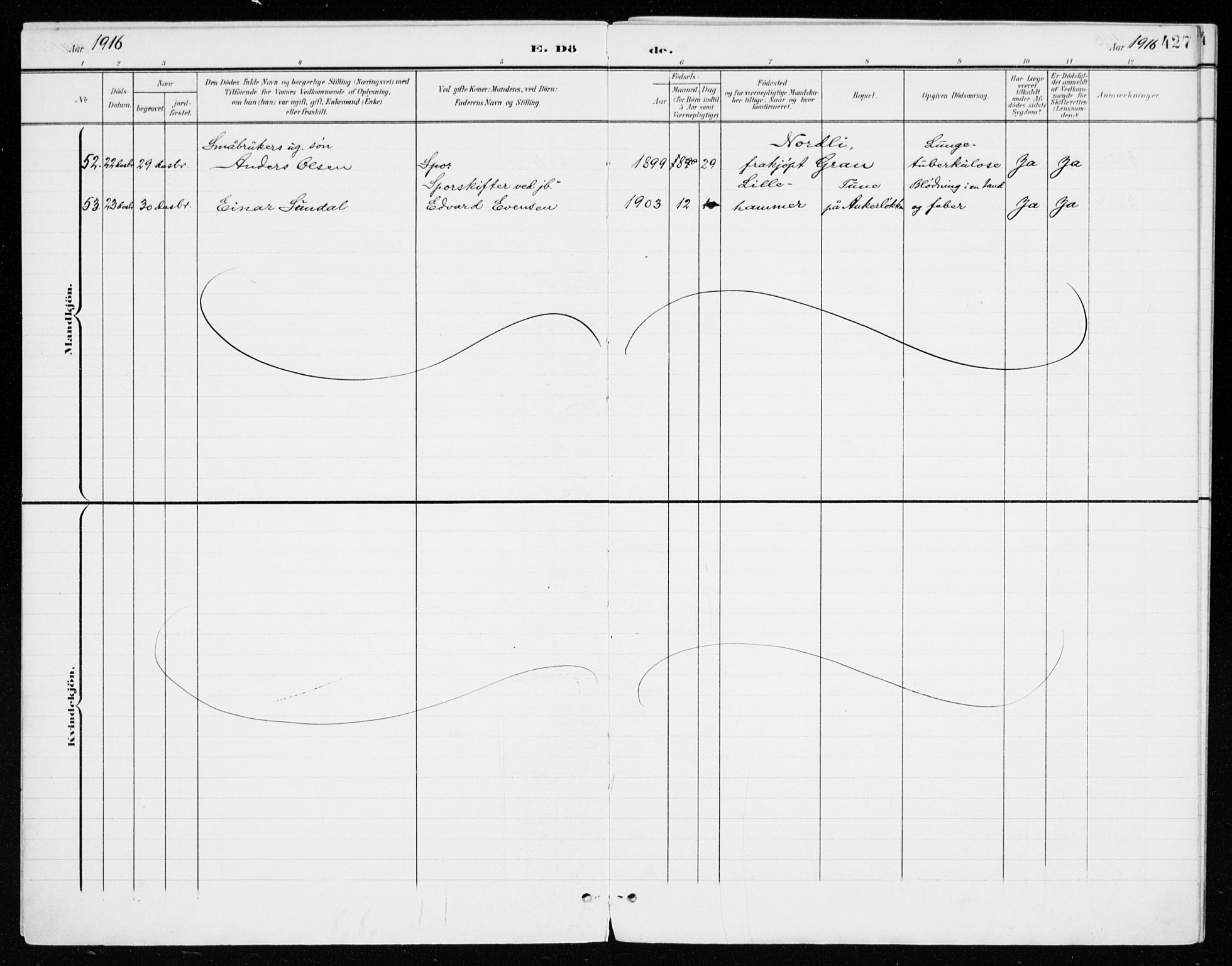 Vang prestekontor, Hedmark, AV/SAH-PREST-008/H/Ha/Haa/L0021: Parish register (official) no. 21, 1902-1917, p. 427